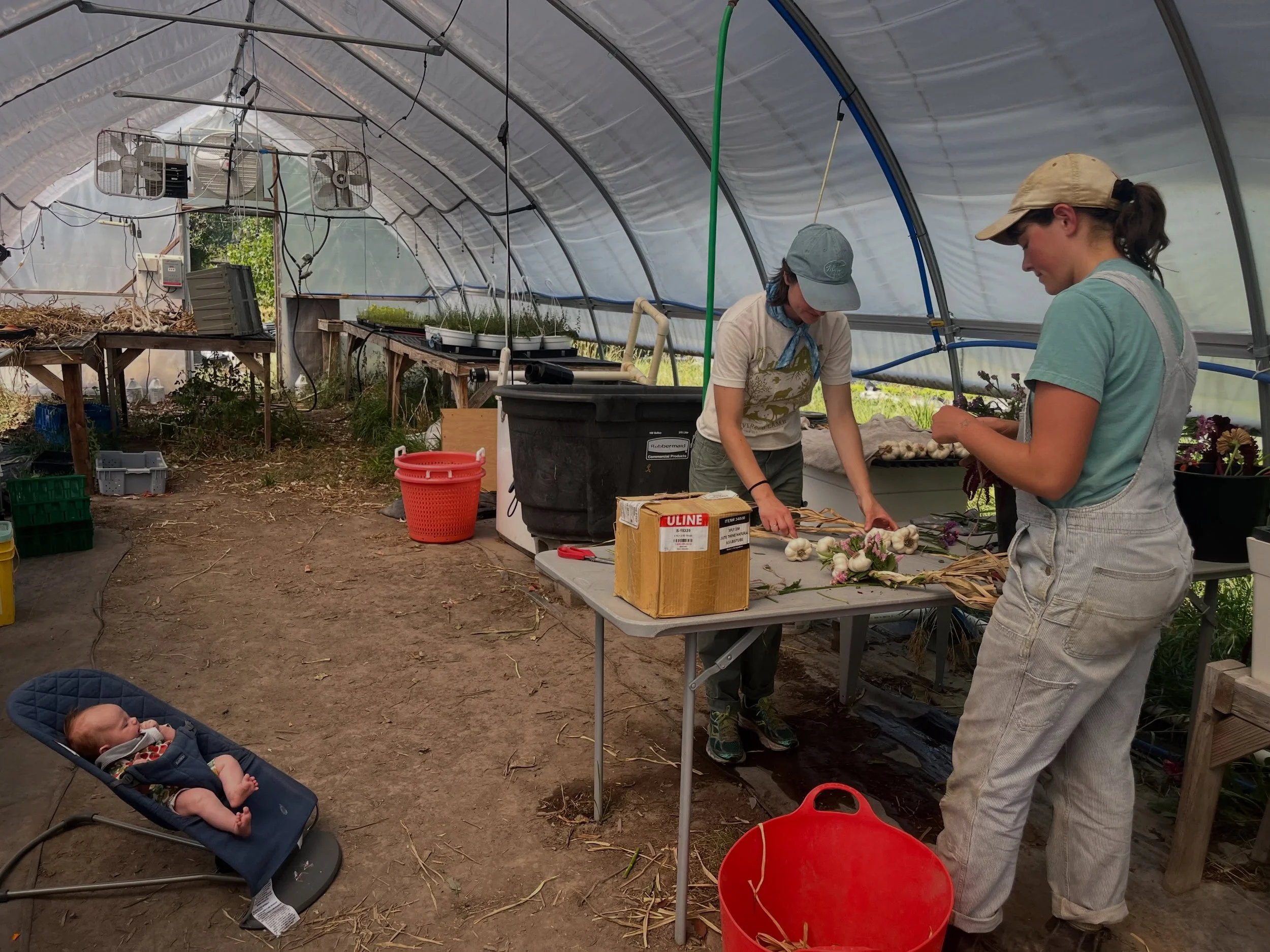 The last few days have been less smoky (whew!) which has meant our newest (and smallest) farm crew member has been able to join us on outside projects every once in a while, which sure has been sweet. We&rsquo;ll be @clarkforkrivermarket tomorrow mor
