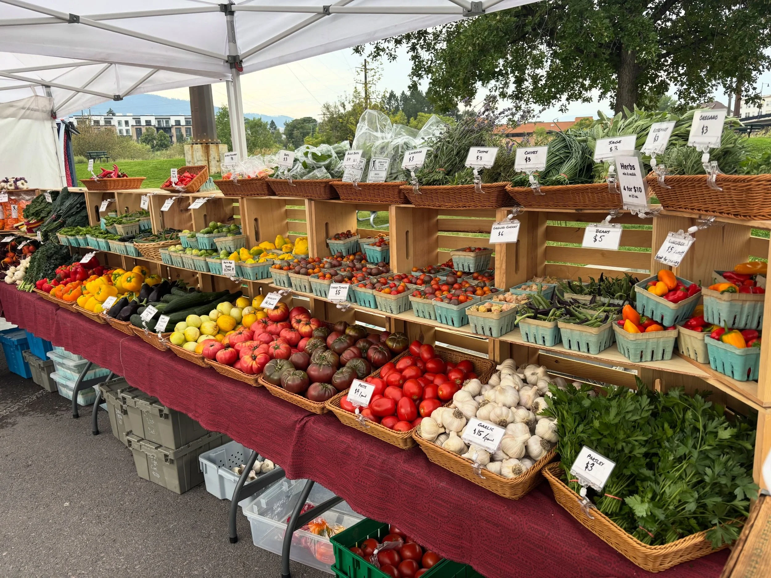 We&rsquo;re all set up @clarkforkrivermarket now until 1pm! Come on by for tomatoes, peppers, herbs, garlic, a few roots, a few greens, cucumbers, squash, flowers, onions, the first our of ground cherries and more!