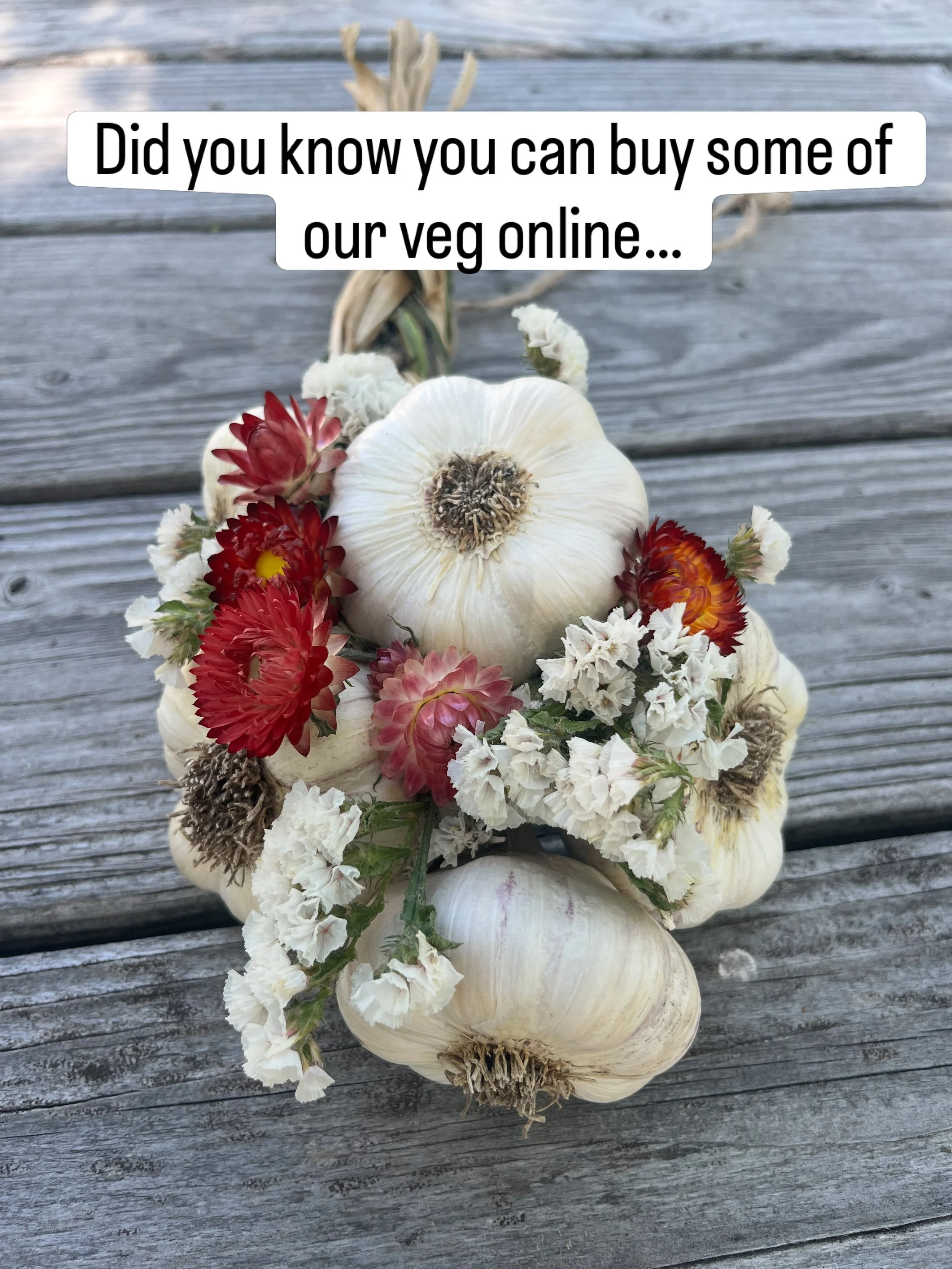Did you know we have an online sales platform where you can buy a bunch of our veggies and herbs ahead of time for pick up @clarkforkrivermarket Saturdays, @missoulafarmersmarket Tuesdays or a few other options? We add new offerings every week. Link 