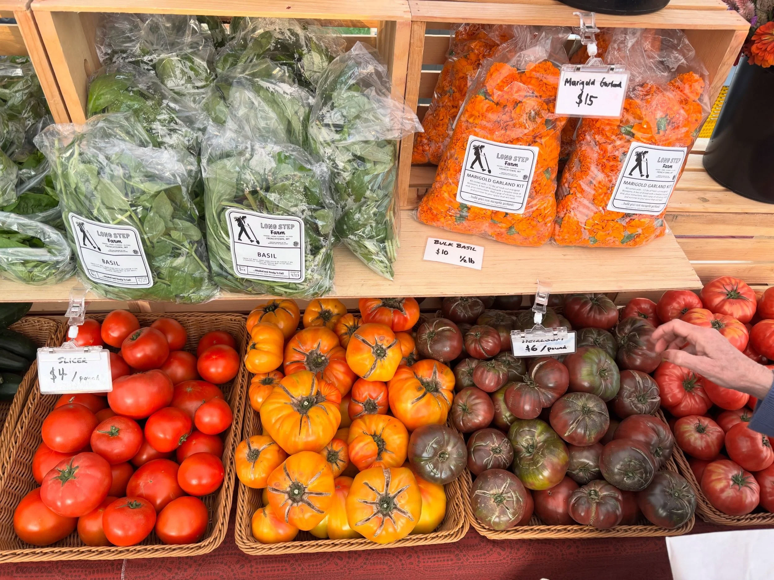 We&rsquo;re all set up @clarkforkrivermarket now until 1pm. The center table of pints is back! We have a new display for our garlic braids (work in progress)! Arugula is back but it&rsquo;ll sell out quick! First ground cherries of the year! See yall