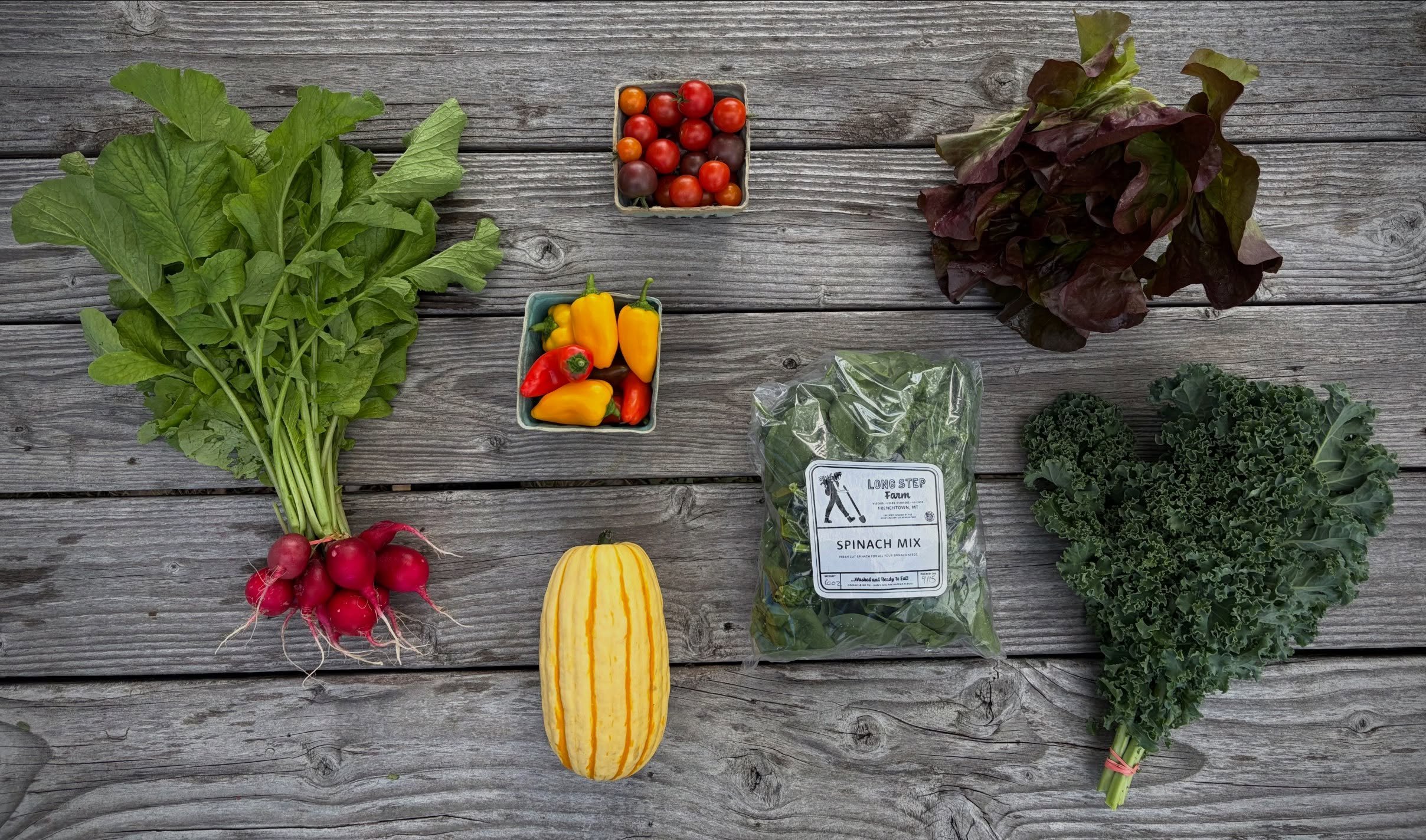Summer CSA week 15! This week&rsquo;s family share includes radishes, lunchbox peppers, cherry tomatoes, spinach, lettuce head, kale and delicata squash. This week&rsquo;s personal share includes carrots, shishito peppers, kale, lettuce head and deli