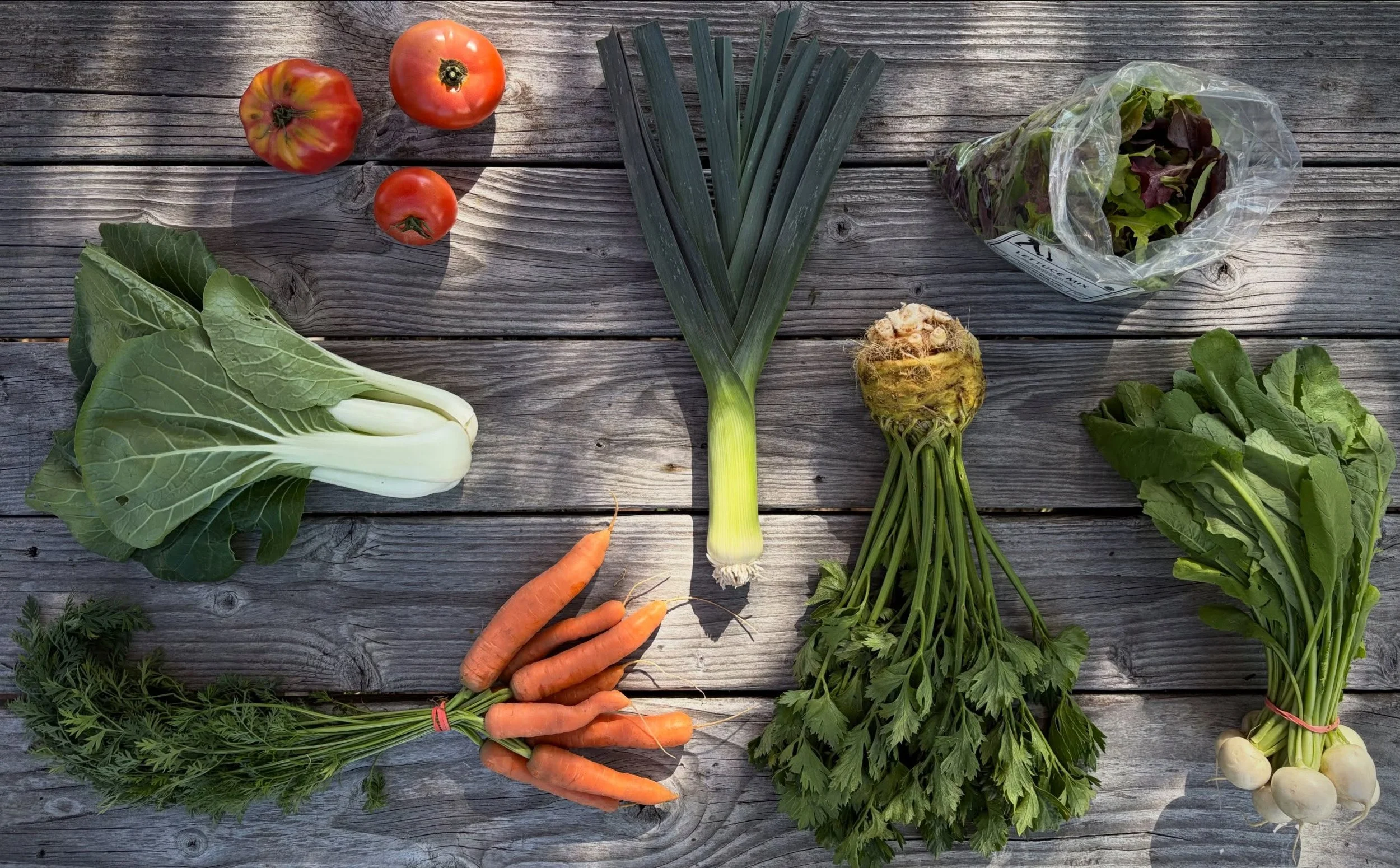 Summer CSA Week 16! This week&rsquo;s family share includes bok choy, carrots, leek, celeriac, salad turnips, lettuce mix and a mix of slicer and heirloom tomatoes. This week&rsquo;s personal share includes a head of romaine, salad turnips, cherry to
