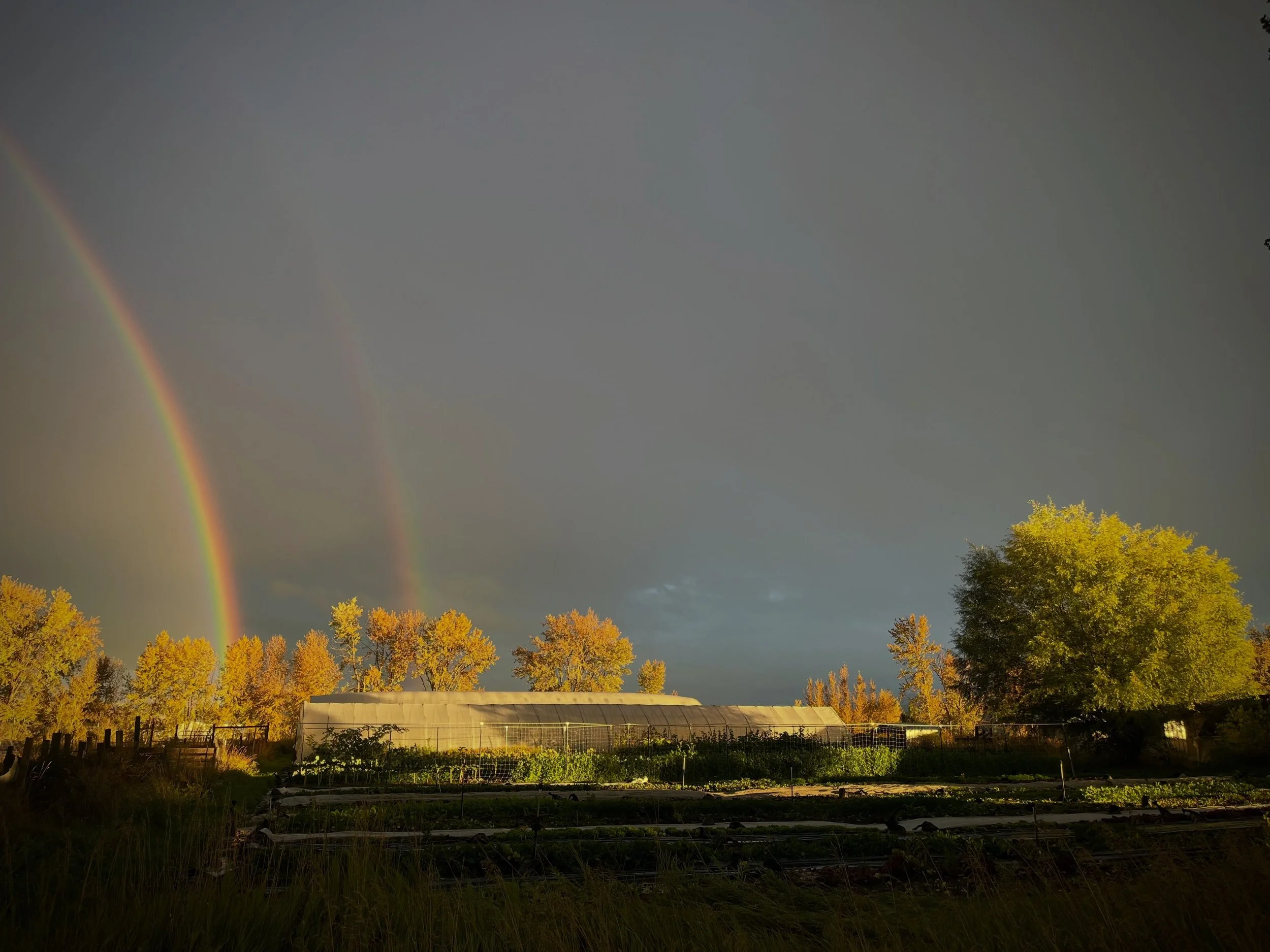 Casual double rainbow at the farm last Friday ✨