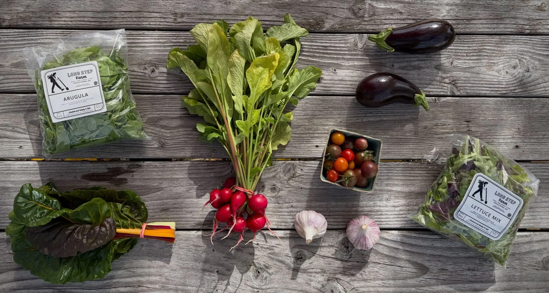 Summer CSA Week 17! This week&rsquo;s family share includes arugula, lettuce mix, rainbow chard, radishes, garlic, cherry tomatoes and eggplant. This week&rsquo;s personal includes bok choy, lettuce mix, broccoli, celeriac and carrots. Yum!
