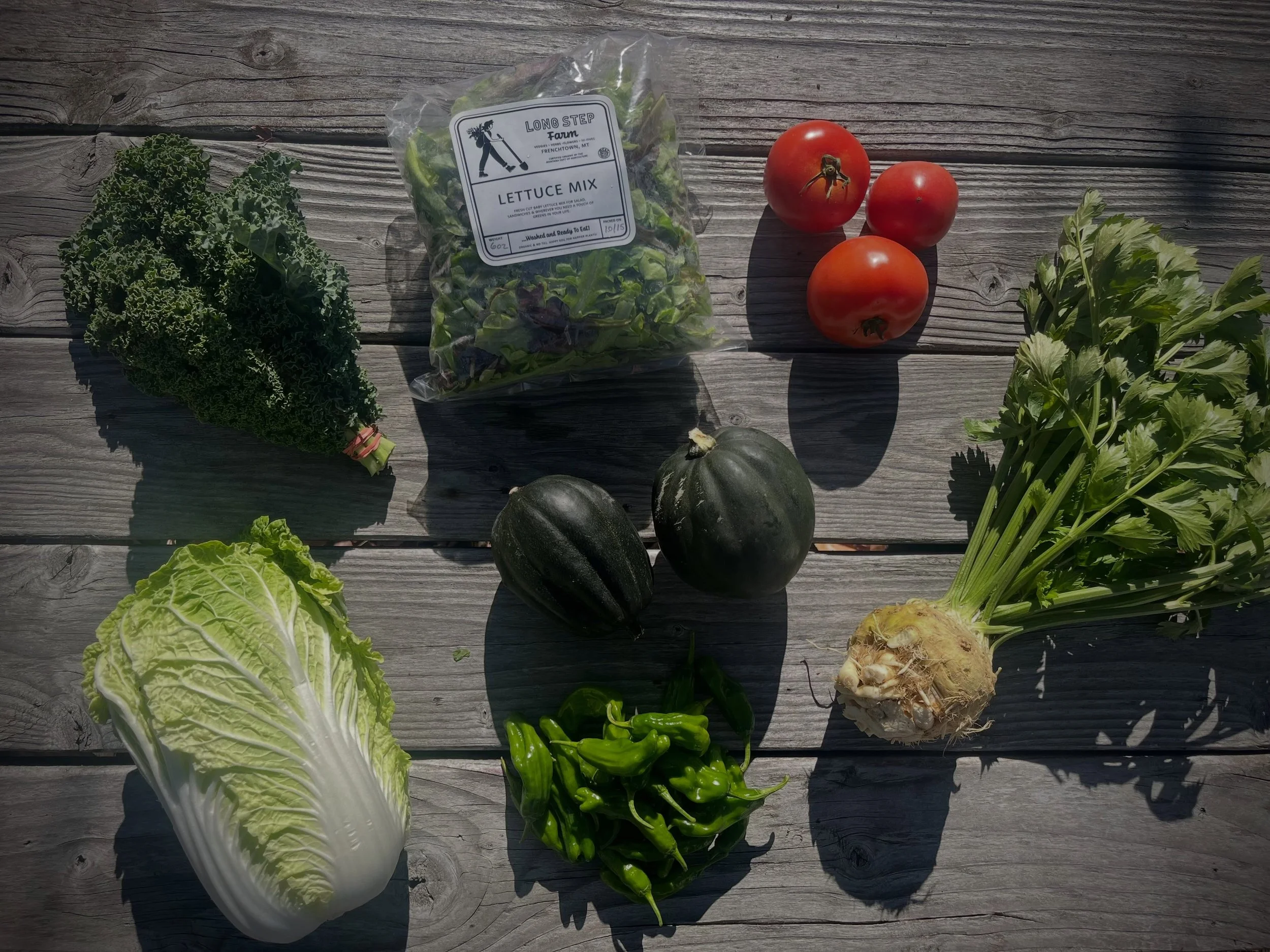 Summer CSA week 19! This week&rsquo;s family share includes acorn squash, slicer tomatoes, kale, celeriac, lettuce mix, Napa cabbage and shishito peppers. This week&rsquo;s personal share includes acorn squash, slicer tomatoes, lettuce head, radishes