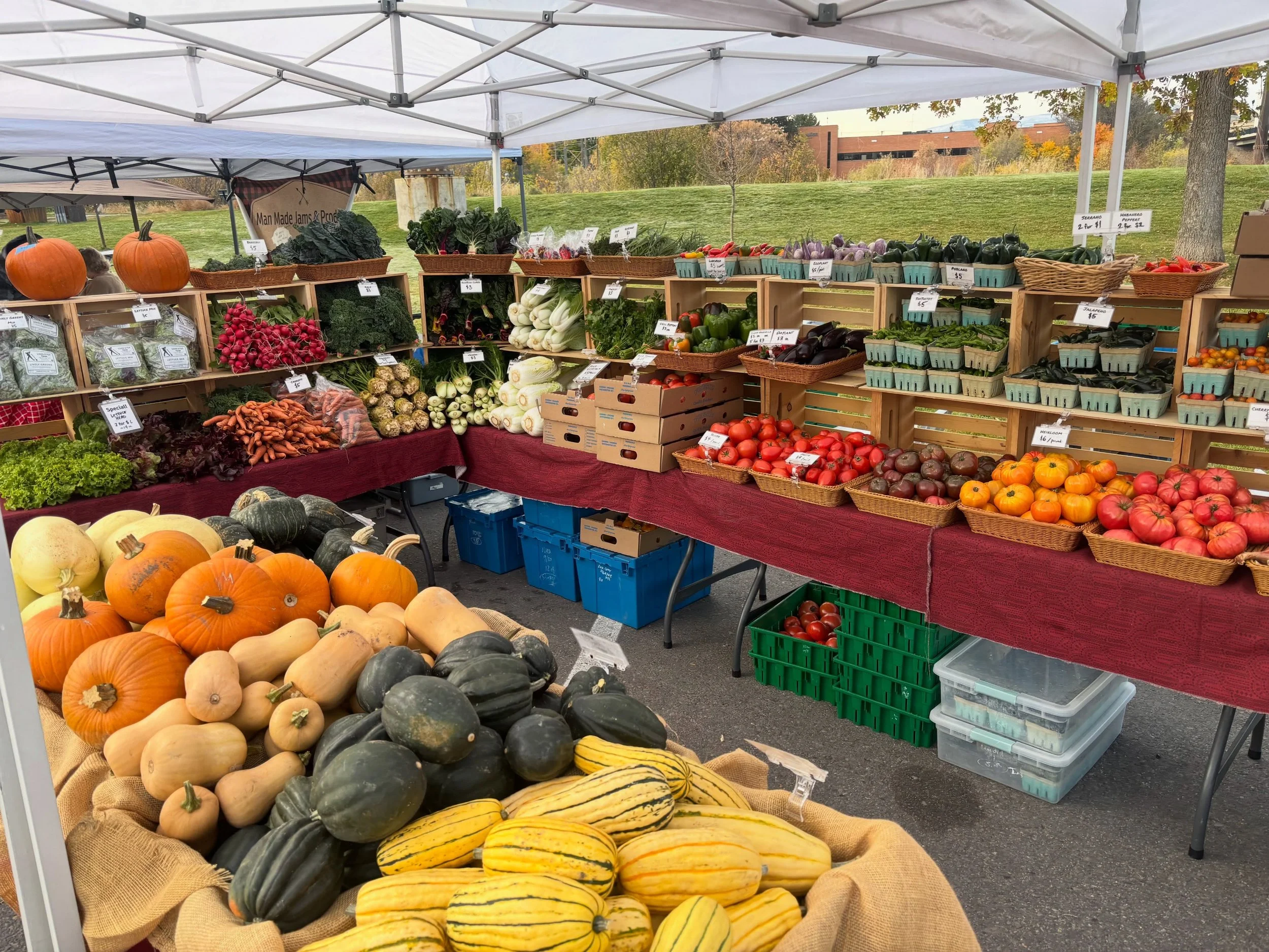 So much abundance on this spooky fall morning! We&rsquo;re all set up @clarkforkrivermarket until 1pm. Only three more outdoor markets for the season! Hope to see ya!