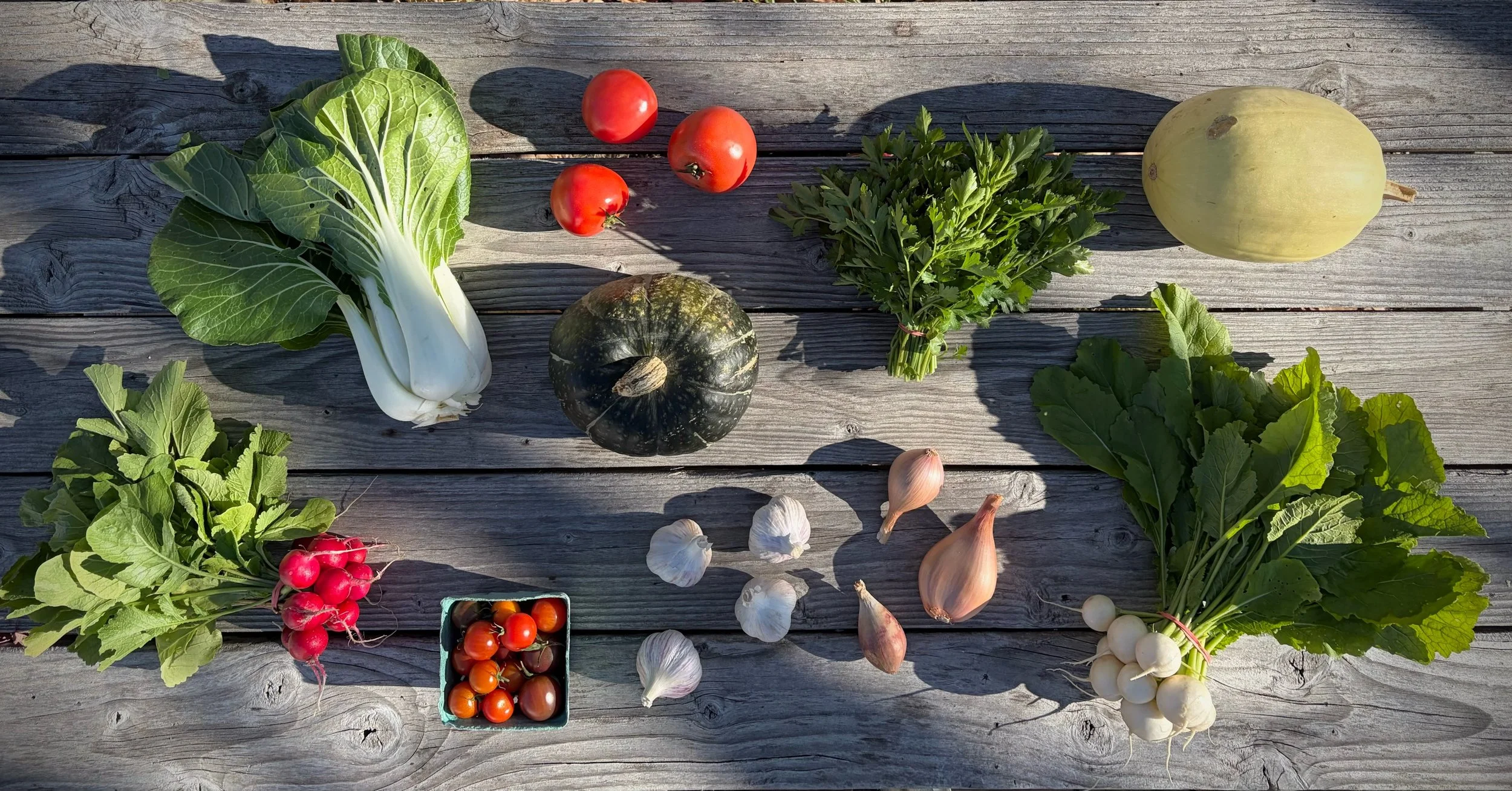 Somehow it&rsquo;s already our Summer CSA Week 20, the final week of our CSA season! We&rsquo;ve been so grateful for our awesome CSA members this season so put together some extra generous as a thank you for their incredible support. Family share th