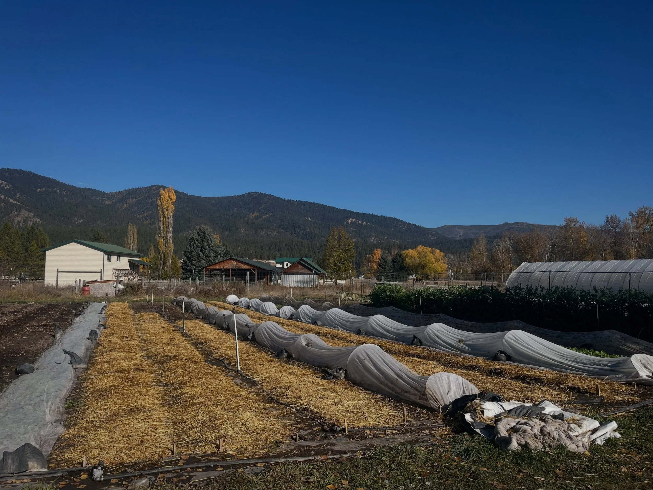 Our family is taking a few much needed days away from the farm this weekend but our stellar crew will running our stand @clarkforkrivermarket with a ton of fall harvest abundance. Swing on by the stand and say hi to @maddyzuellig_ plus a guest appear
