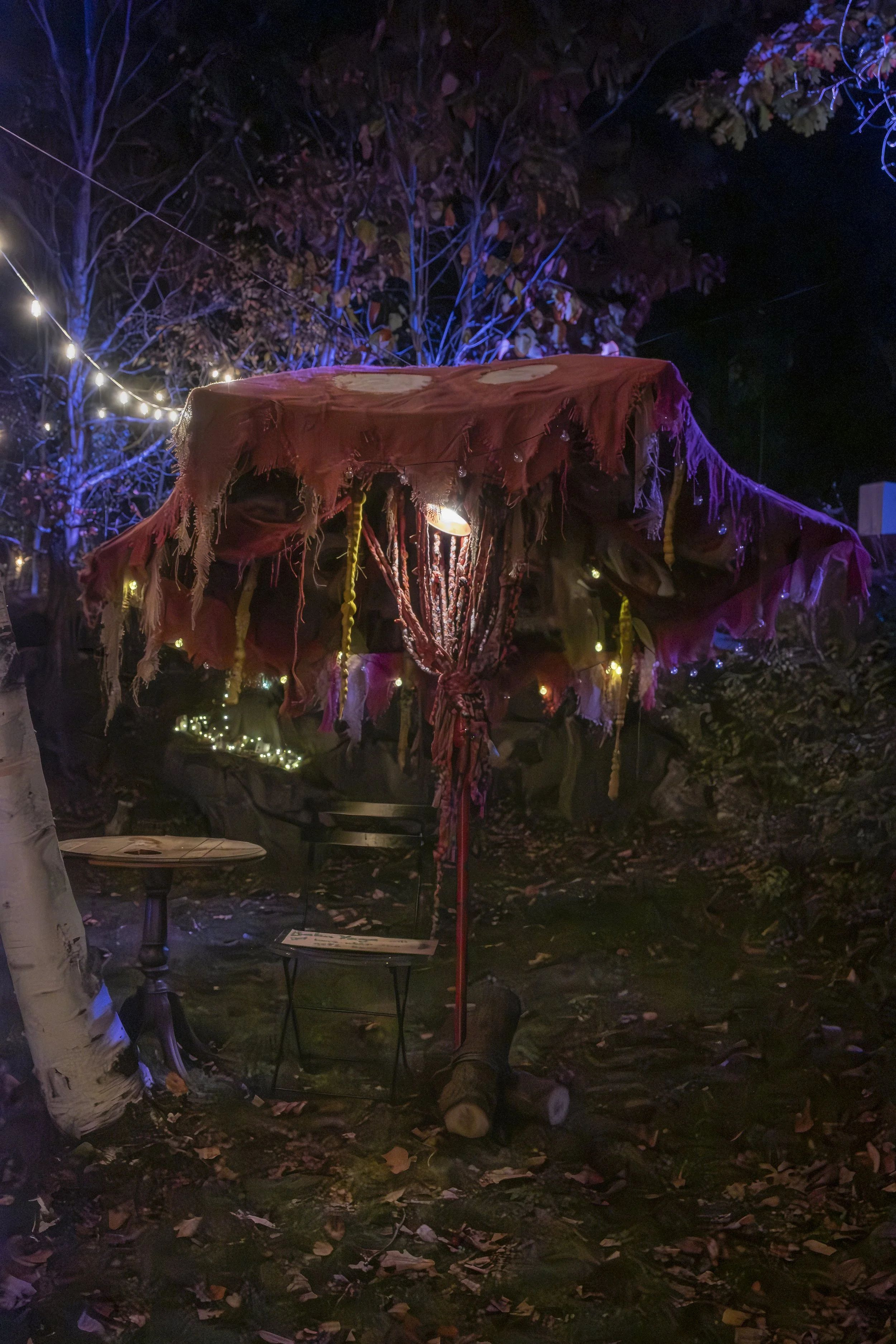 2025-Fairy Houses Festival-278.jpg