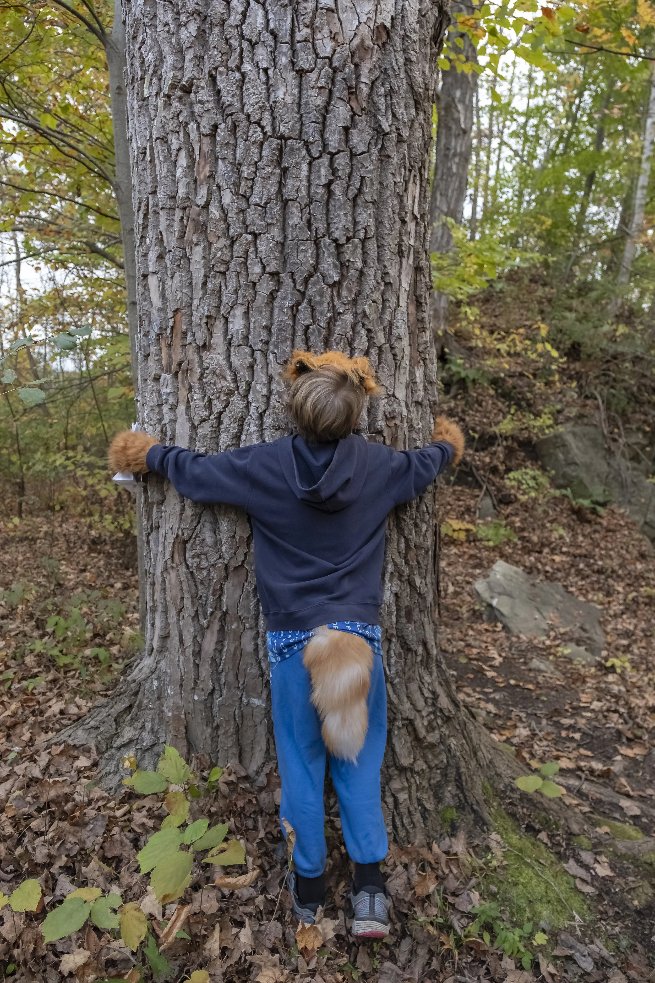 2025-Fairy Houses Festival-127.jpg