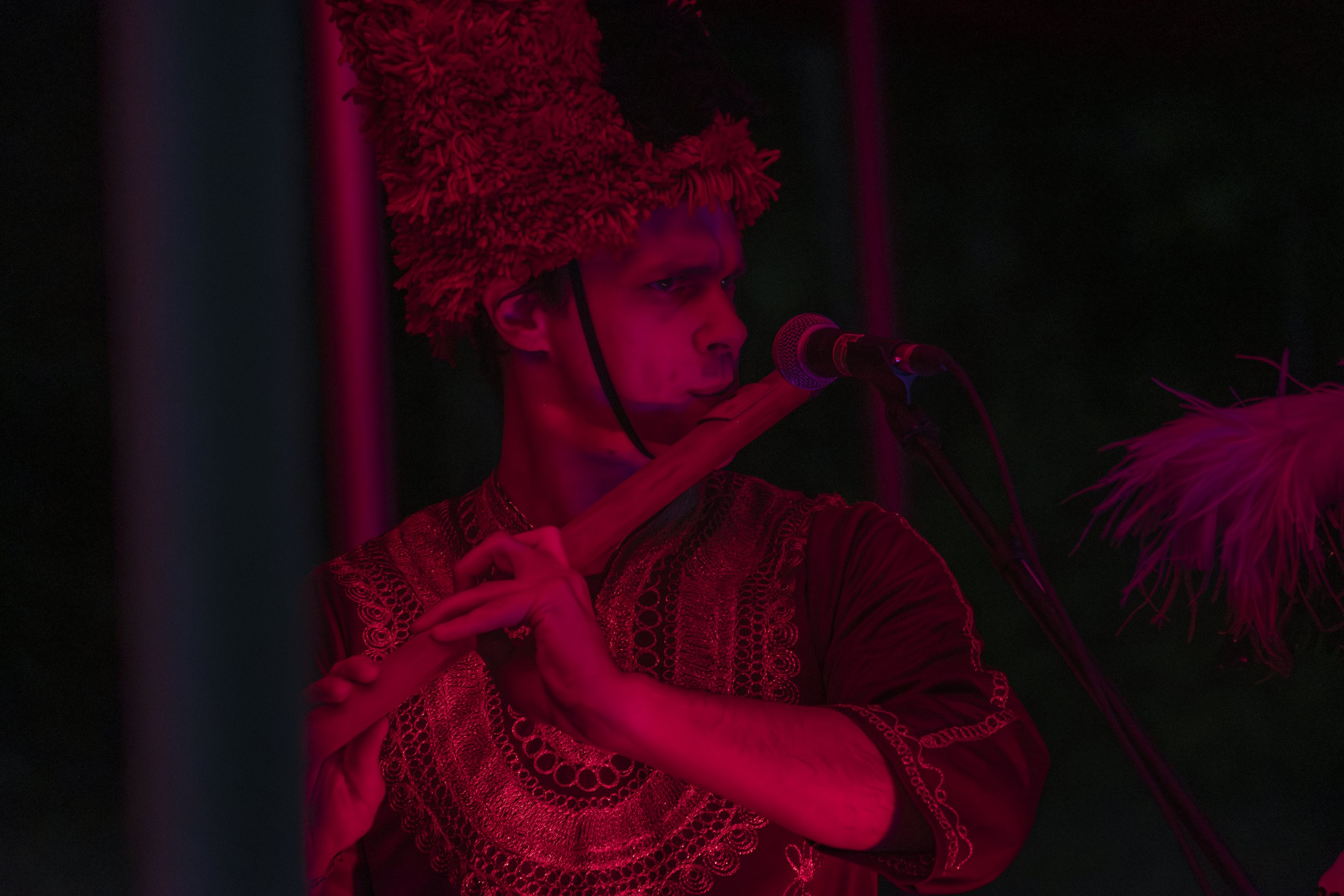 2025-Summer Festival - Roots and Wings-459.jpg