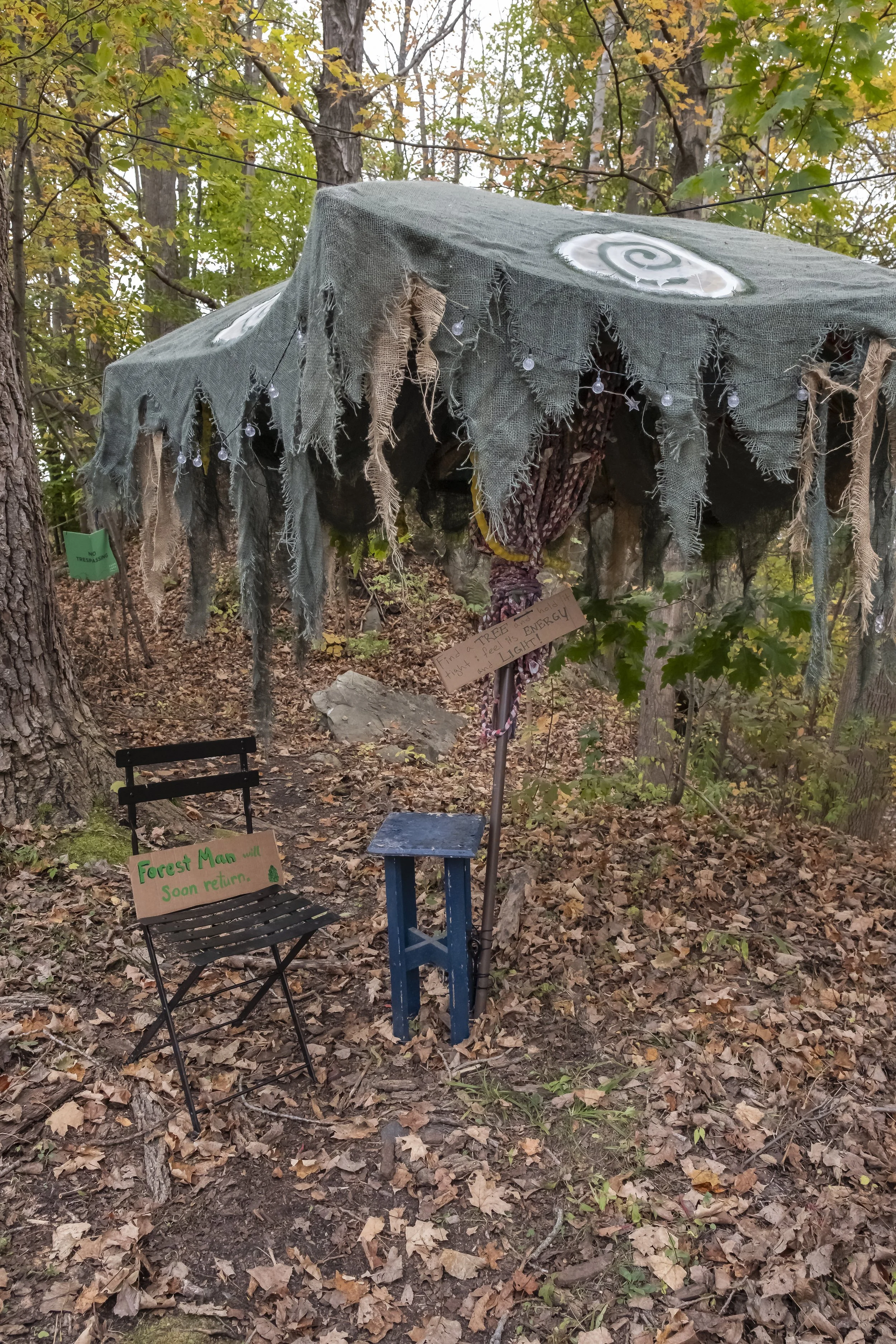 2025-Fairy Houses Festival-41.jpg