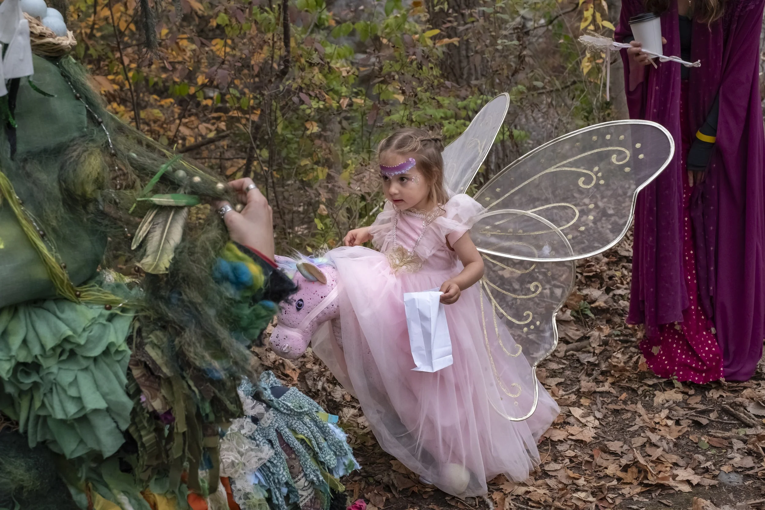 2025-Fairy Houses Festival-135.jpg