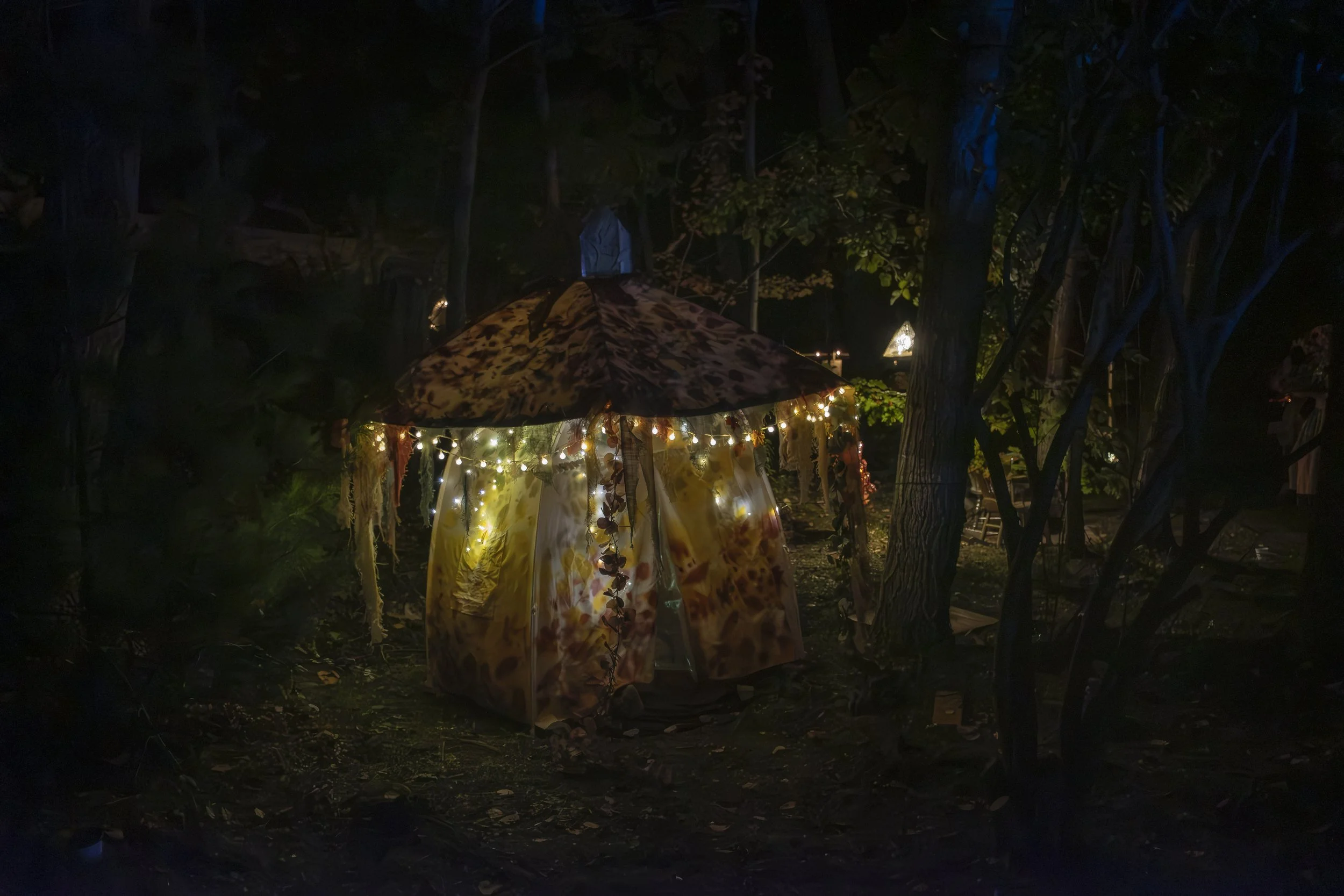 2025-Fairy Houses Festival-277.jpg