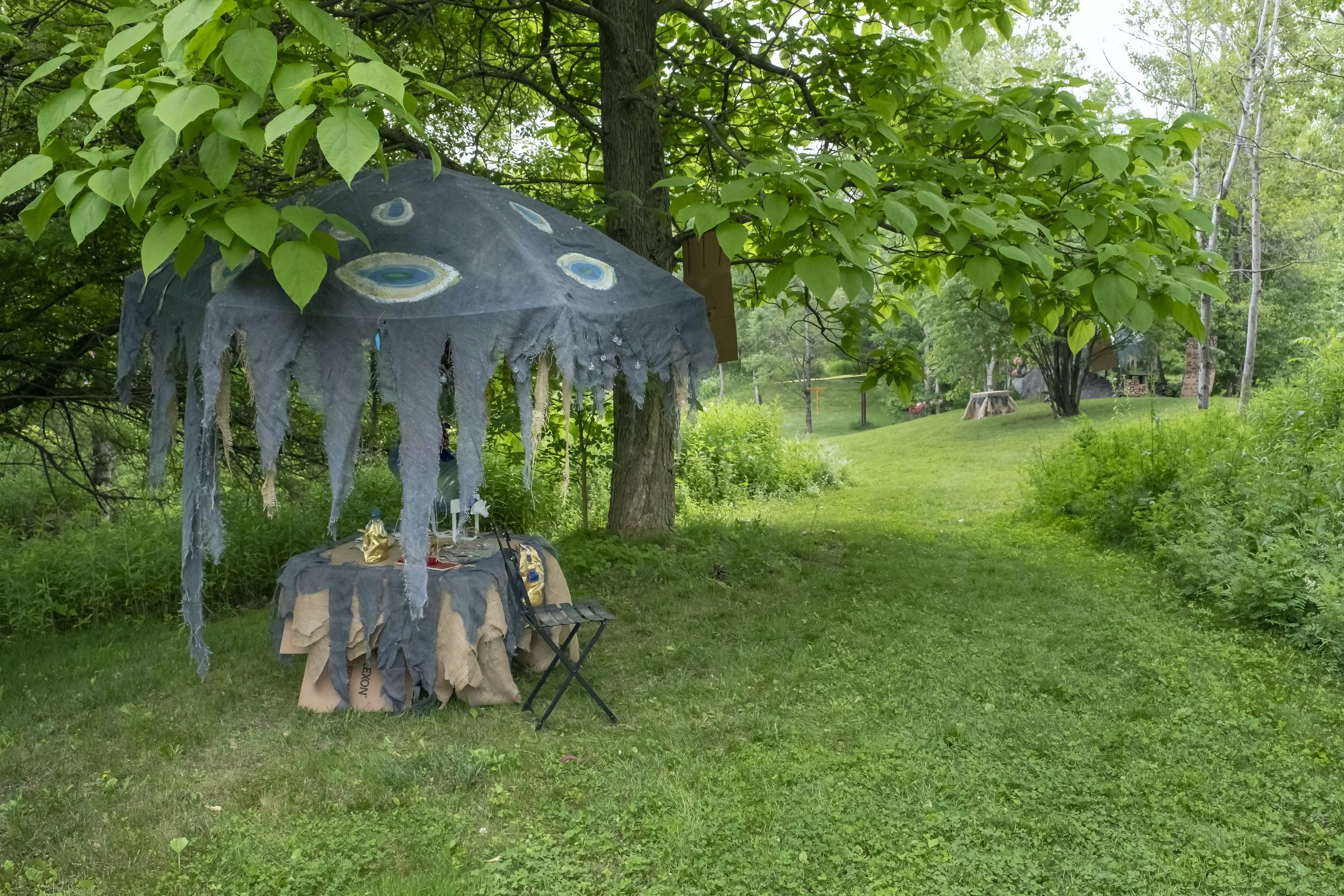 2025-Summer Festival - Roots and Wings-17.jpg