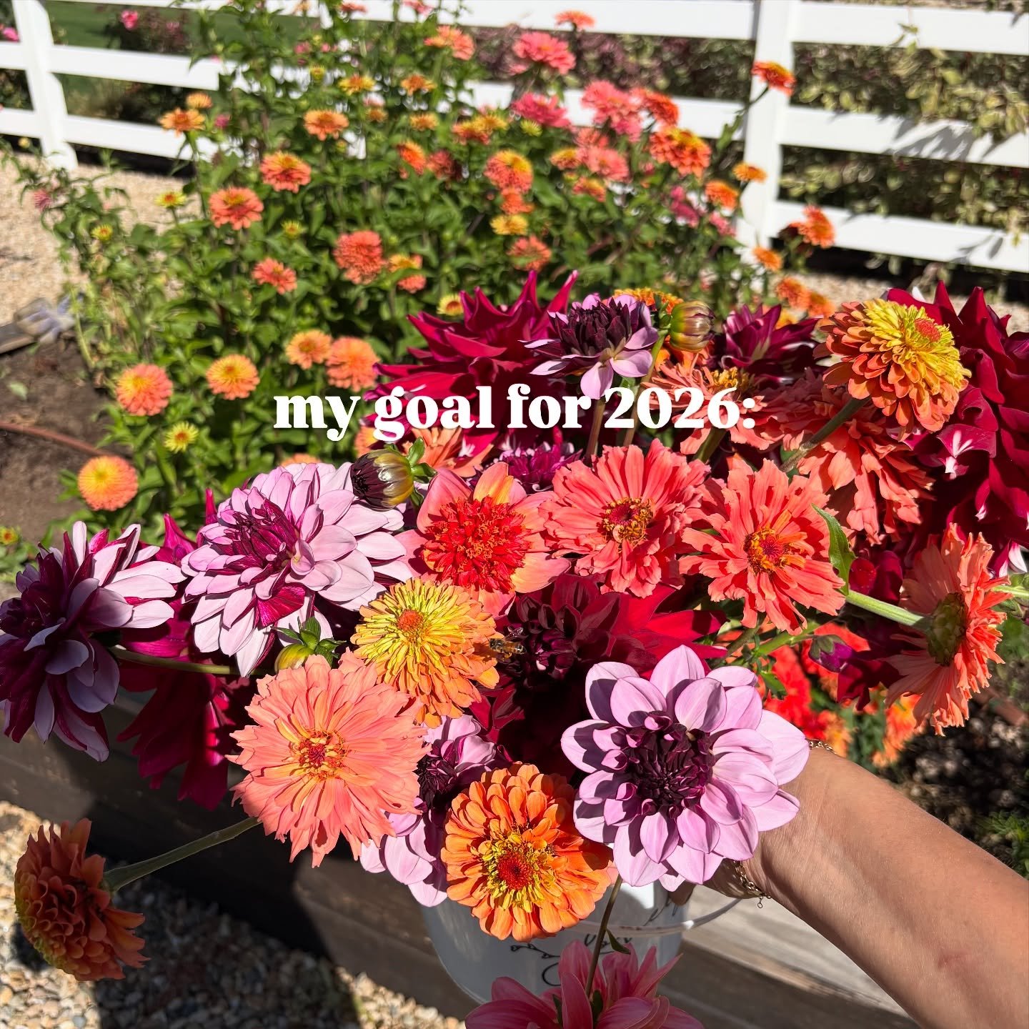 If 2024 was our winter, 2025 felt like a season of planting seeds and trying to be patient with time (and ourselves) as the growth was underway. So my word for 2026 is bloom. I pray for more moments like these where I am blown away by the beauty of t