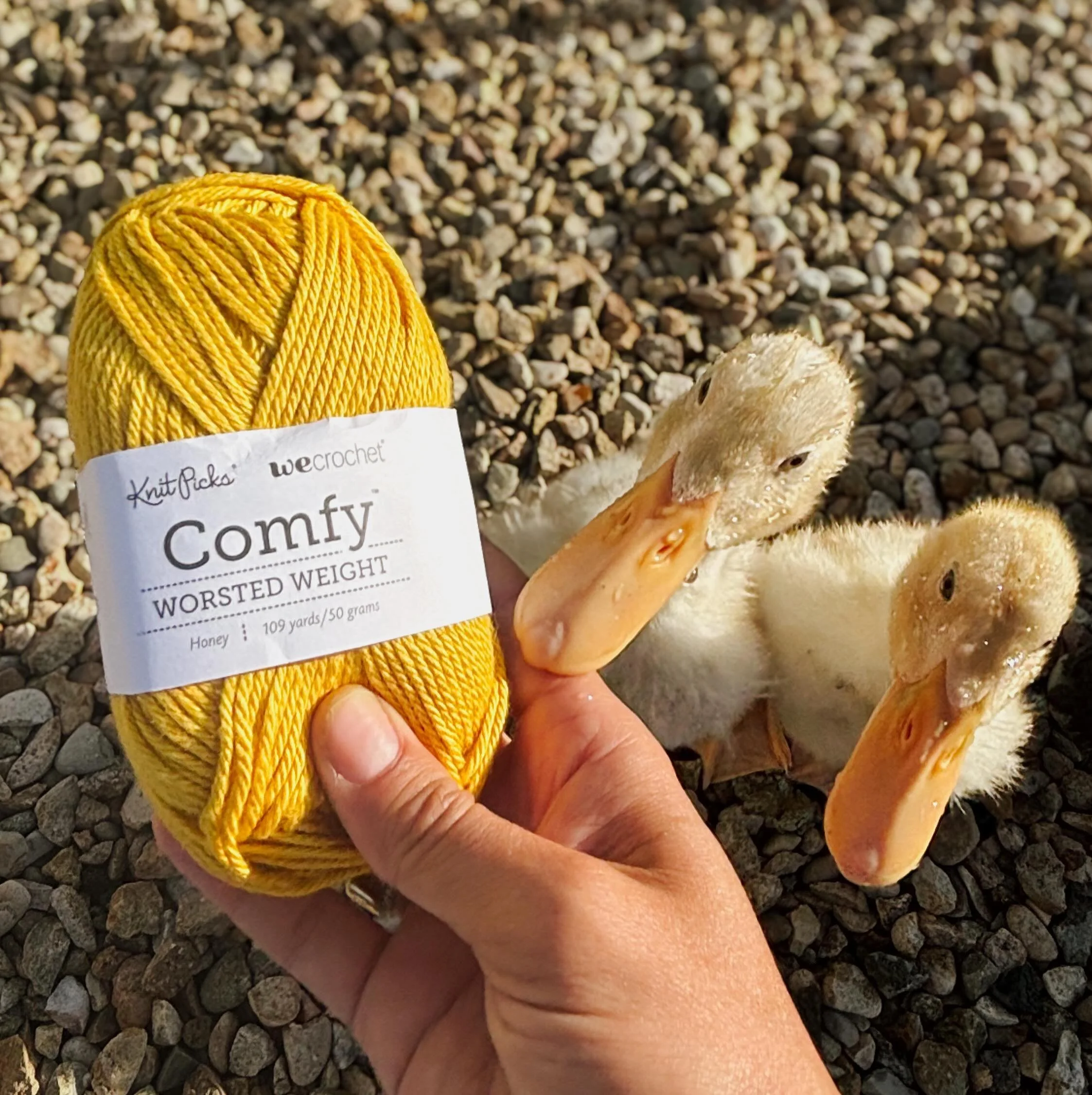 @wecrochetofficial completely spoiled me with a gift that speaks directly to my soul! They picked out these gorgeous skeins of WeCrochet Comfy Worsted that perfectly match the living color palette of my garden. Swipe through to see the matches - from