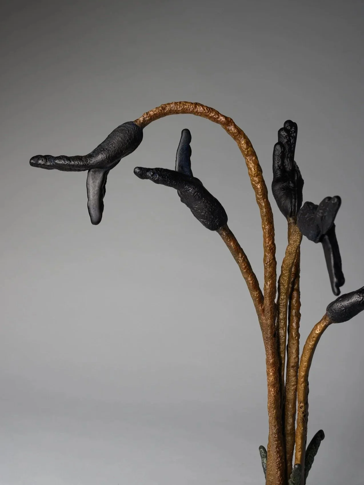 Michaels_FelisUlnar4.jpg