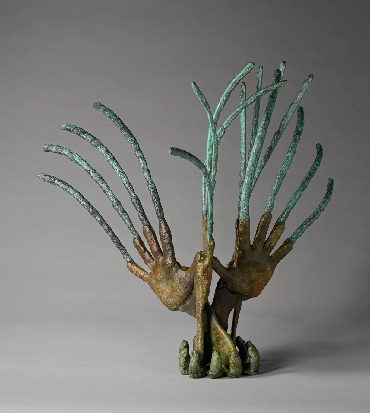 Michaels_PlantarPosidonia2.jpg