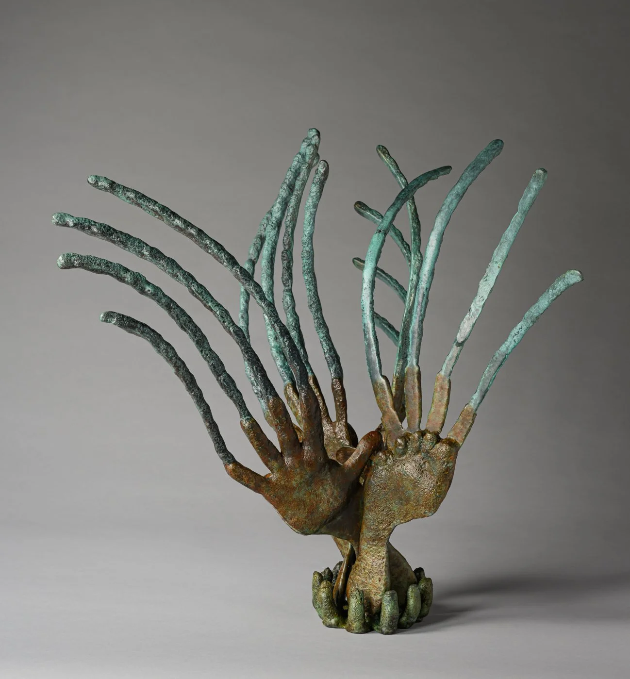 Michaels_PlantarPosidonia1.jpg
