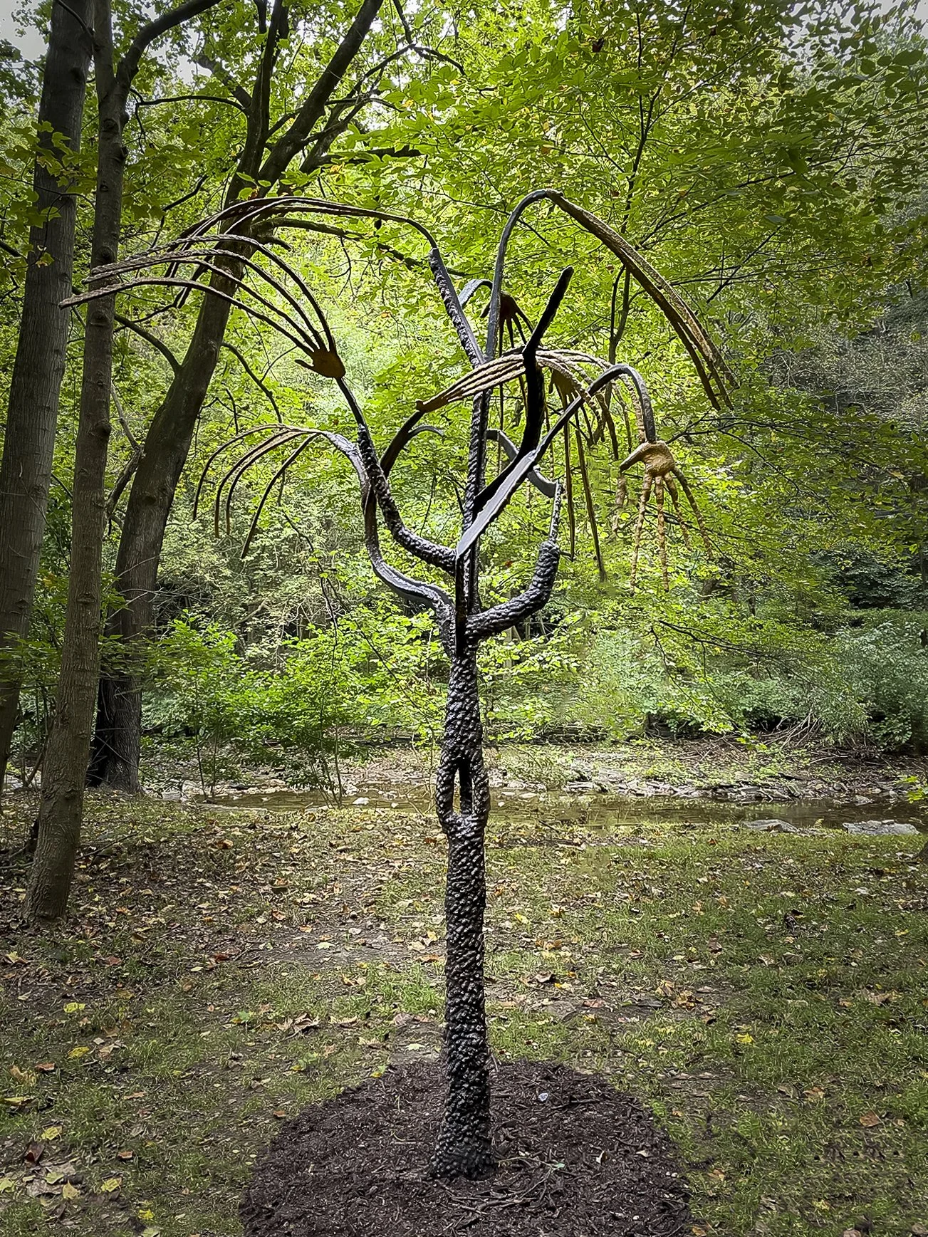 Pleuro_Glenn1_K_edit copy.jpg