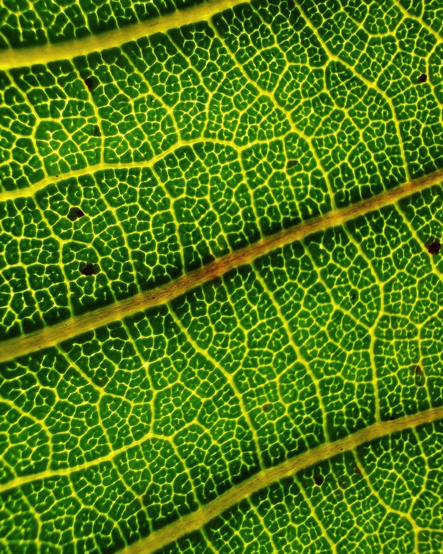 bahia em detalhes
