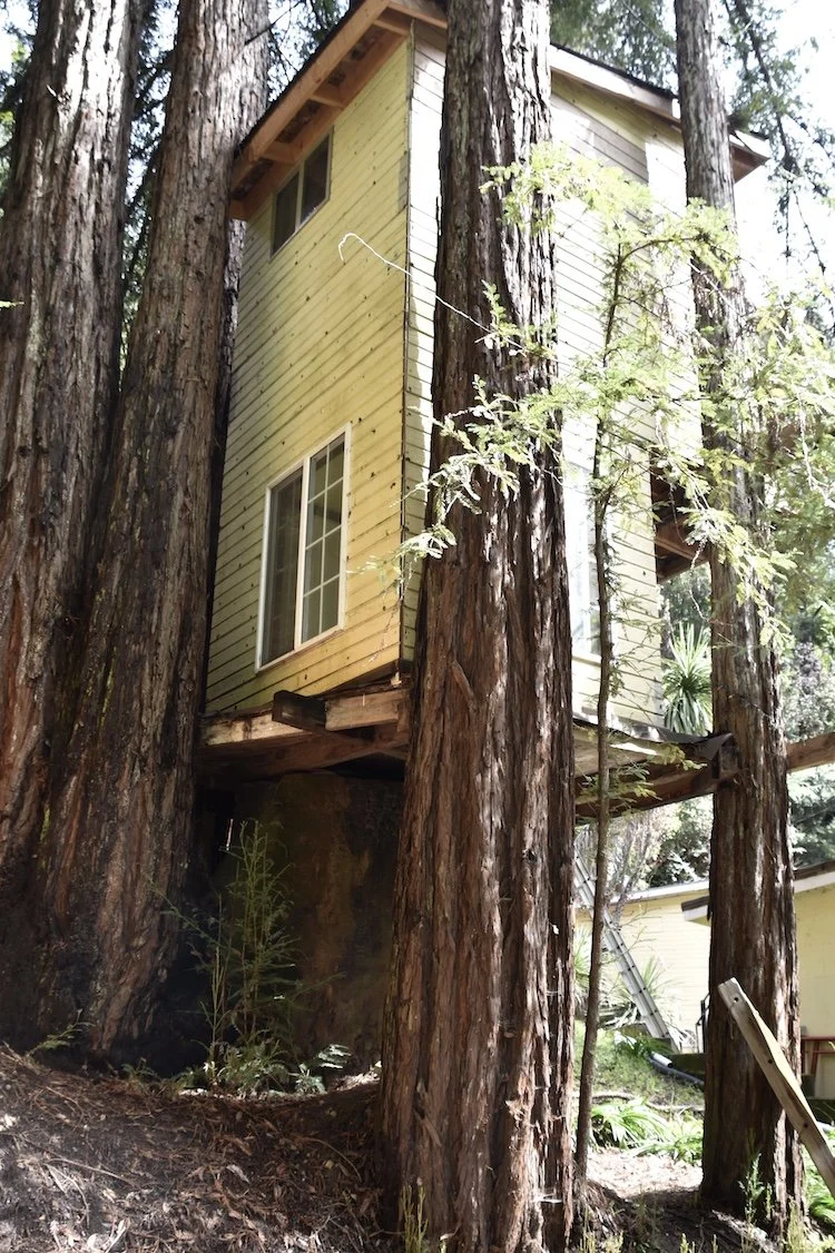 #2509 Wolverine Road DSC_0588.JPG