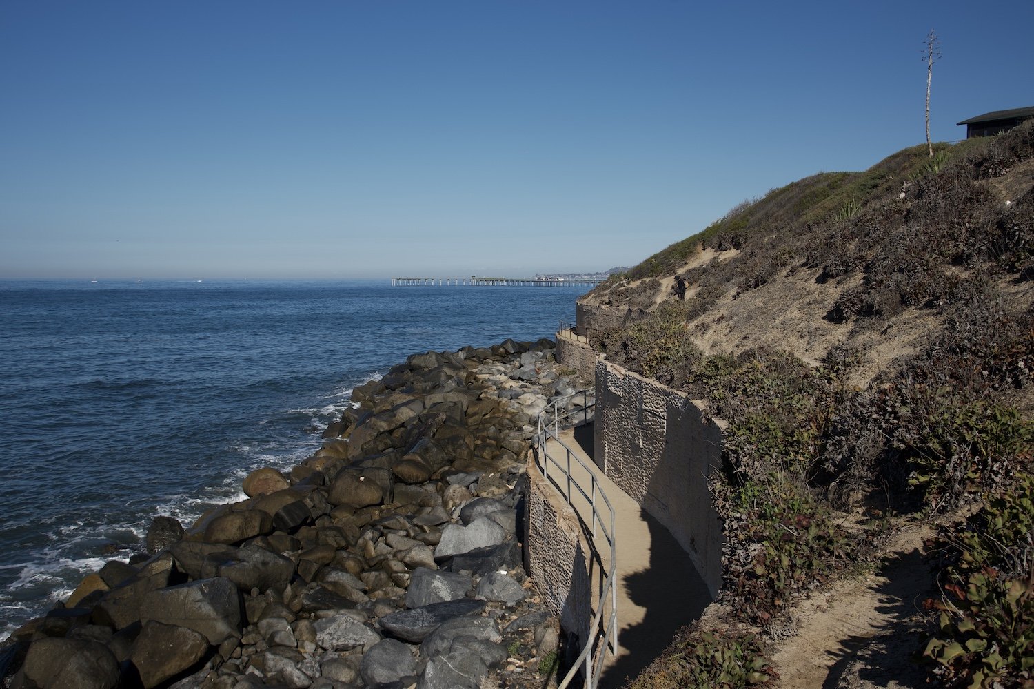 DSC_0572.jpeg