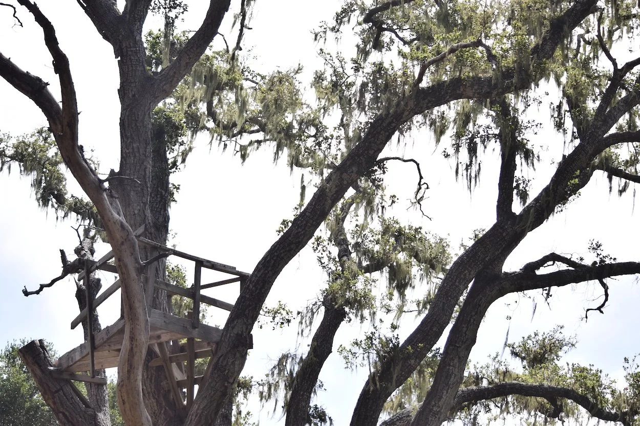 #1884 King Krest Lane DSC_0828.JPG