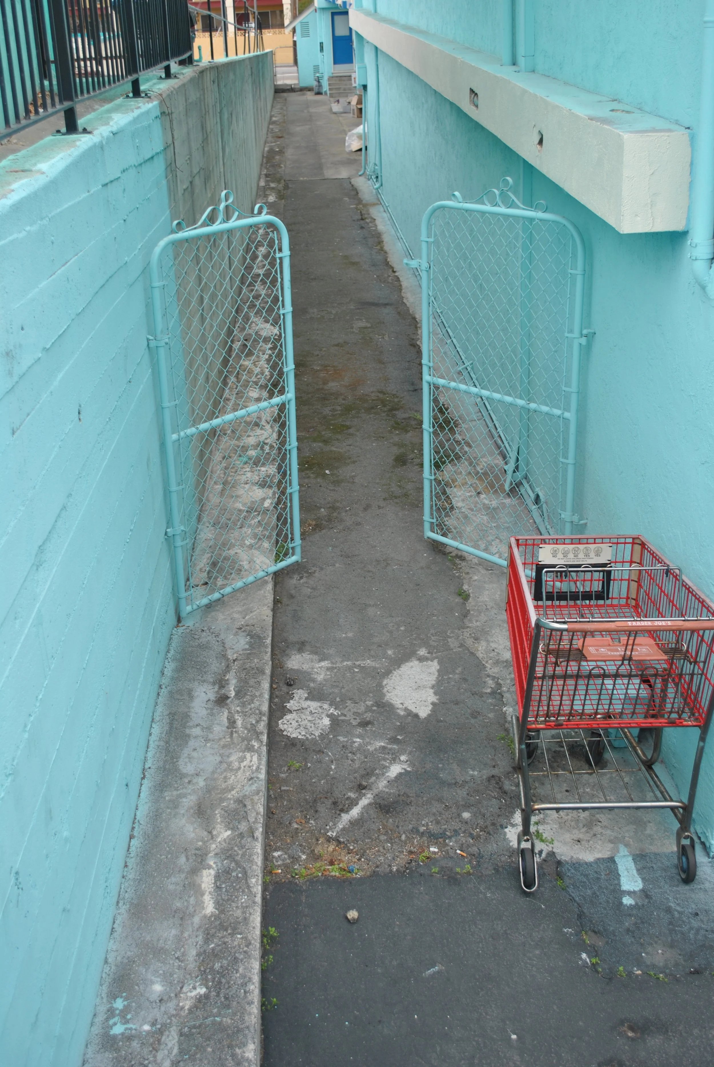 DSC_0314 2.jpg