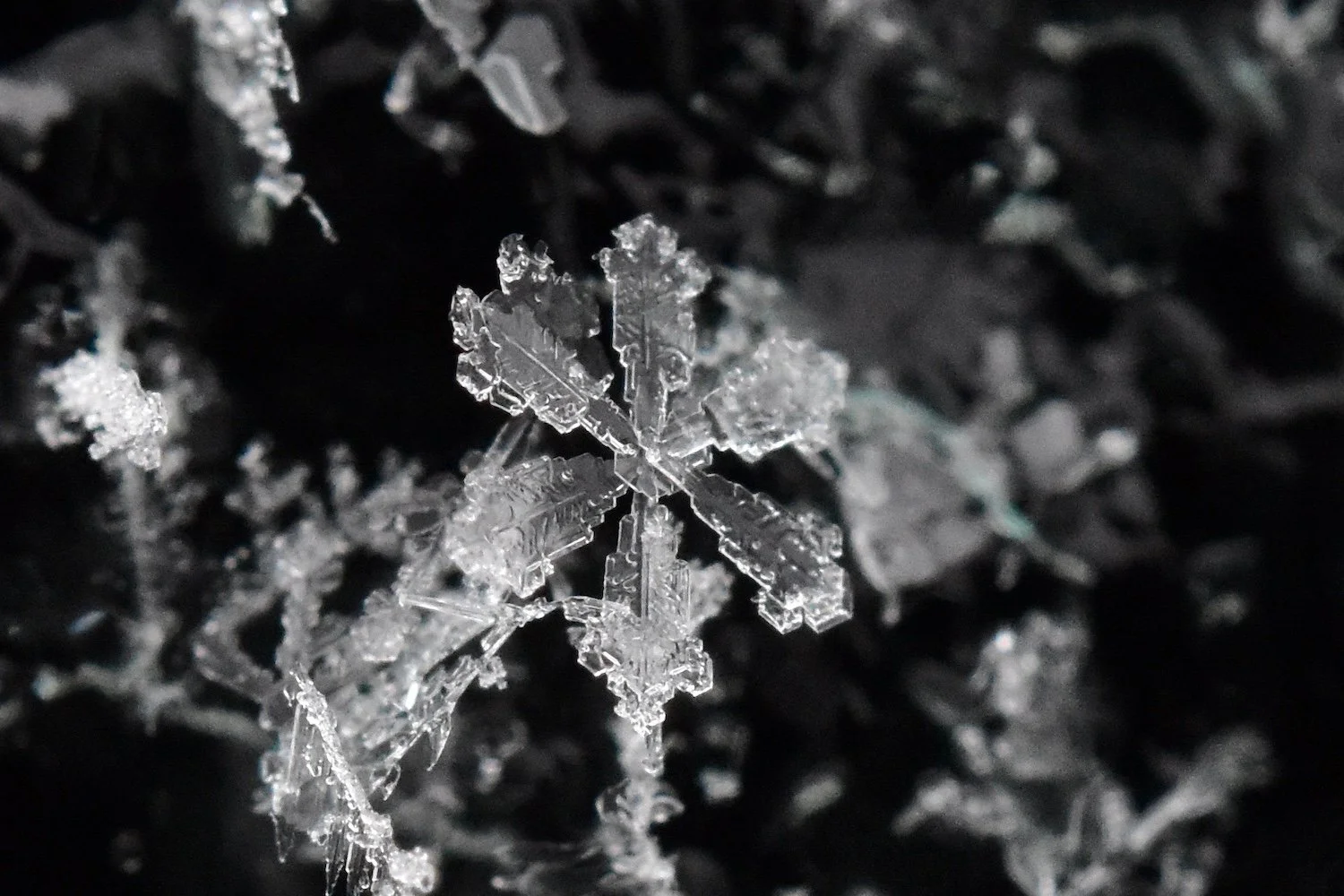 Snowflake!
