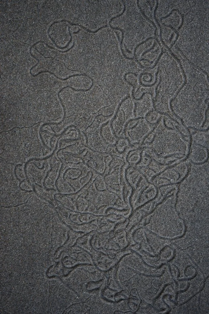 Snail Tracks in the Sand