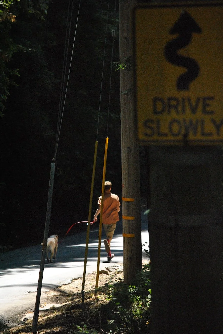 Miles and Izzie  on Cadillac Road