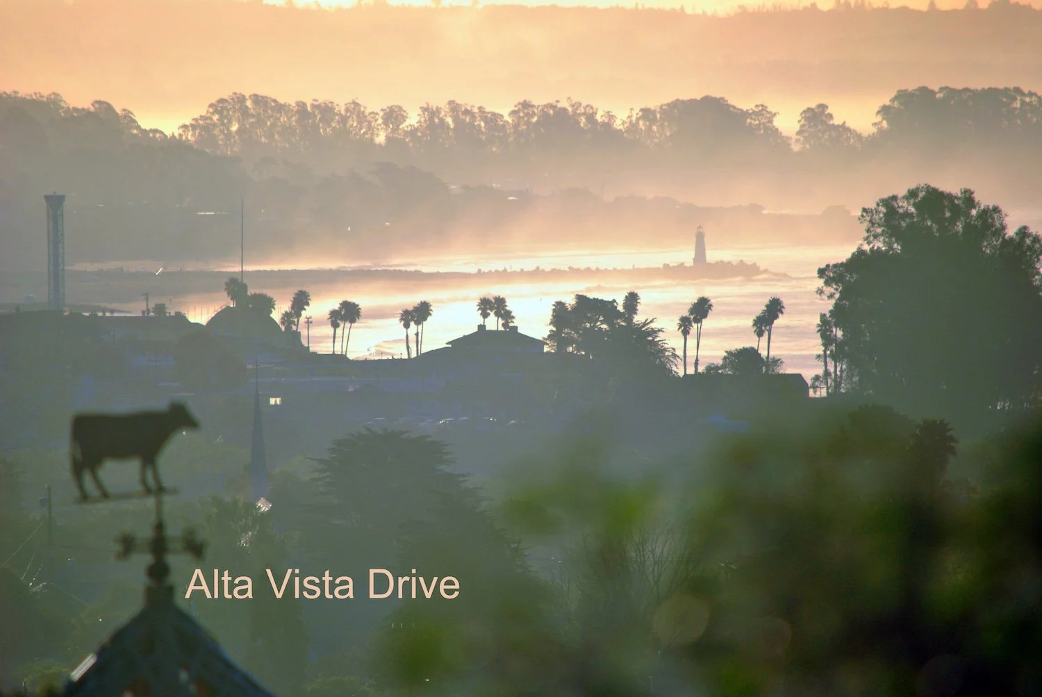 Orange Morning
