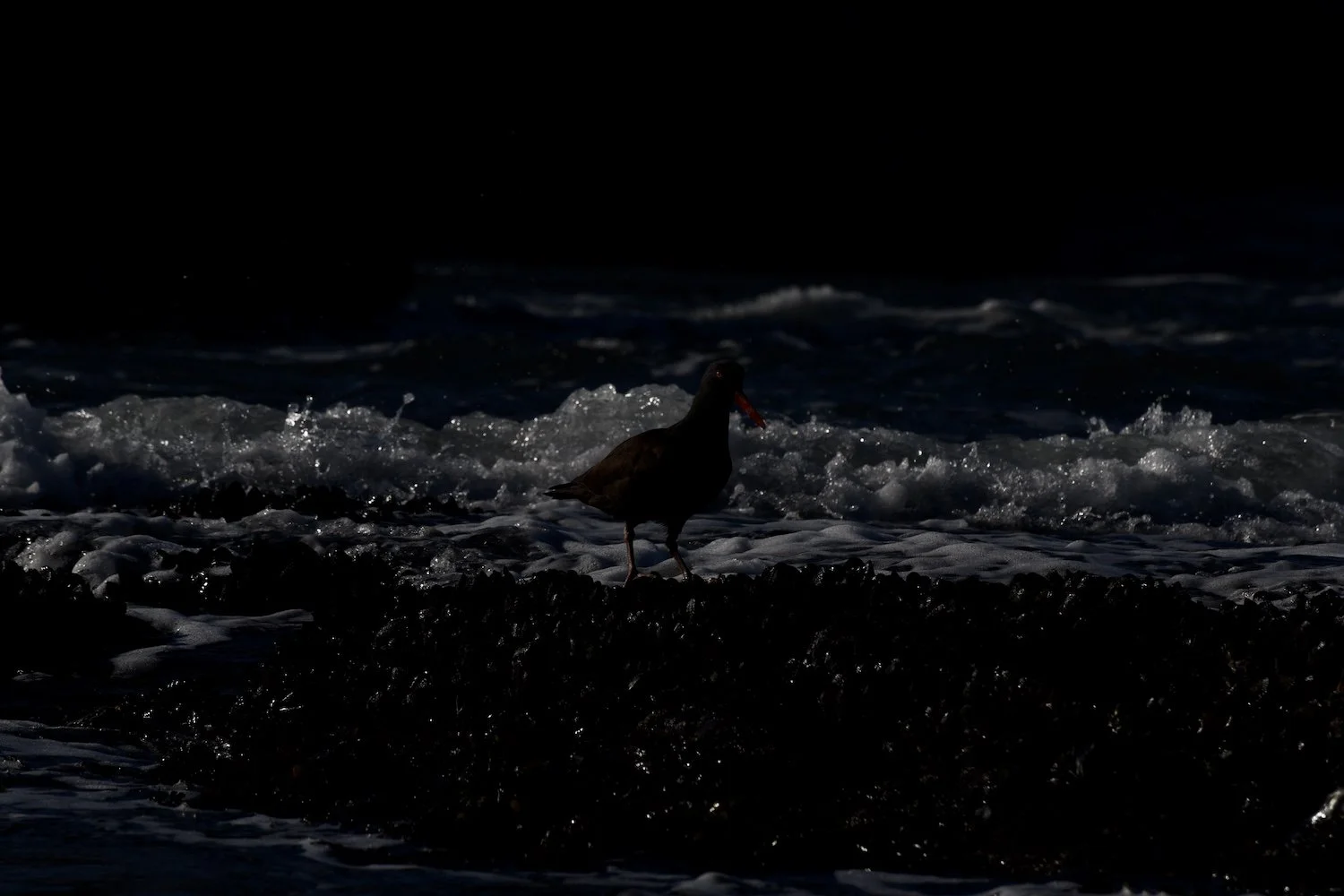 Underexposure