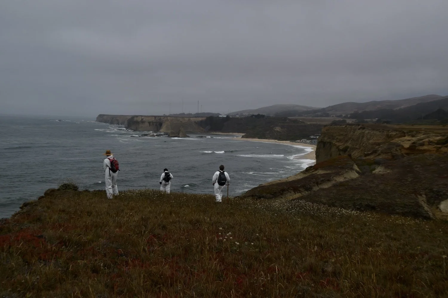 Walking in Our Tick Suits