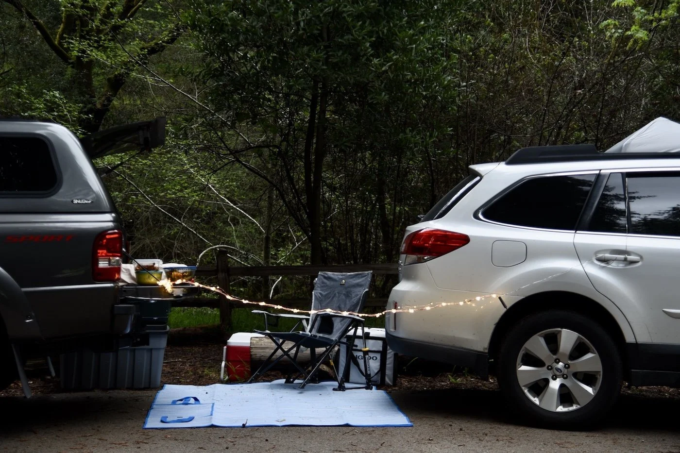 Redwood Forest Camping 