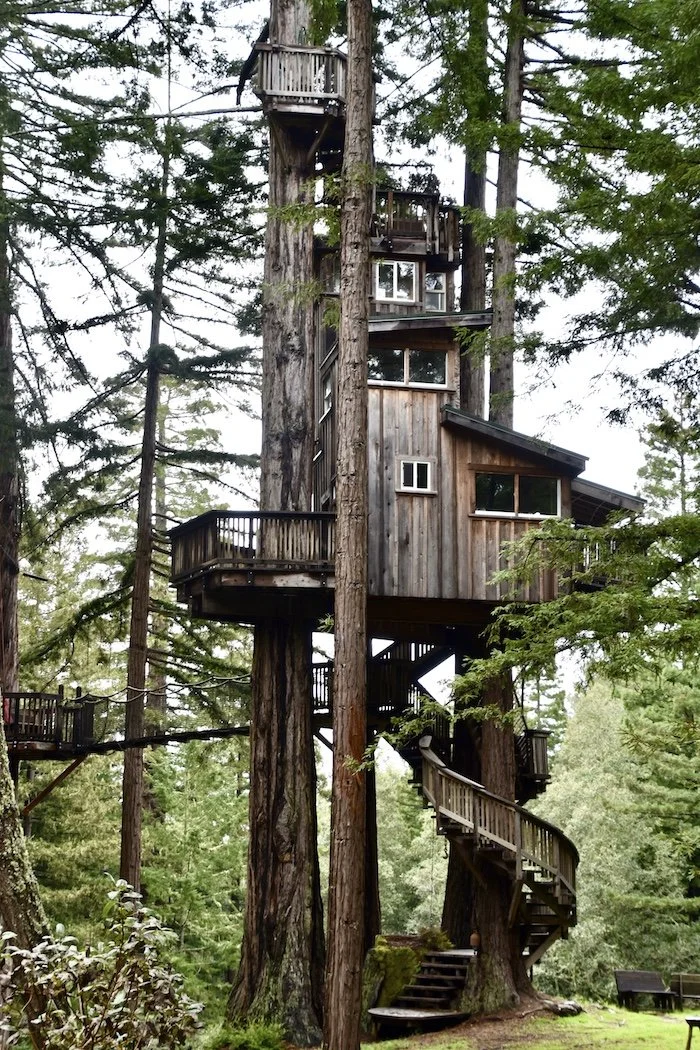Dream House