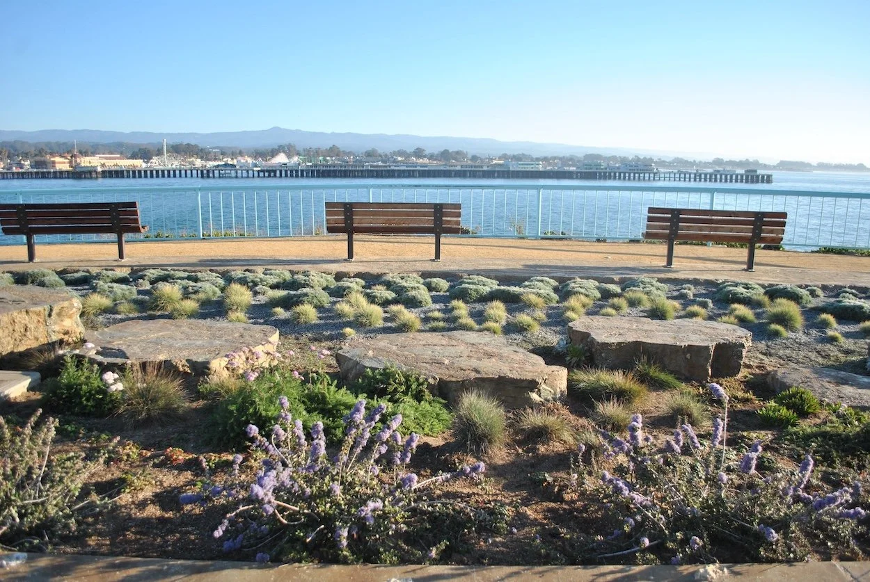 Benches Along West Cliff Drive