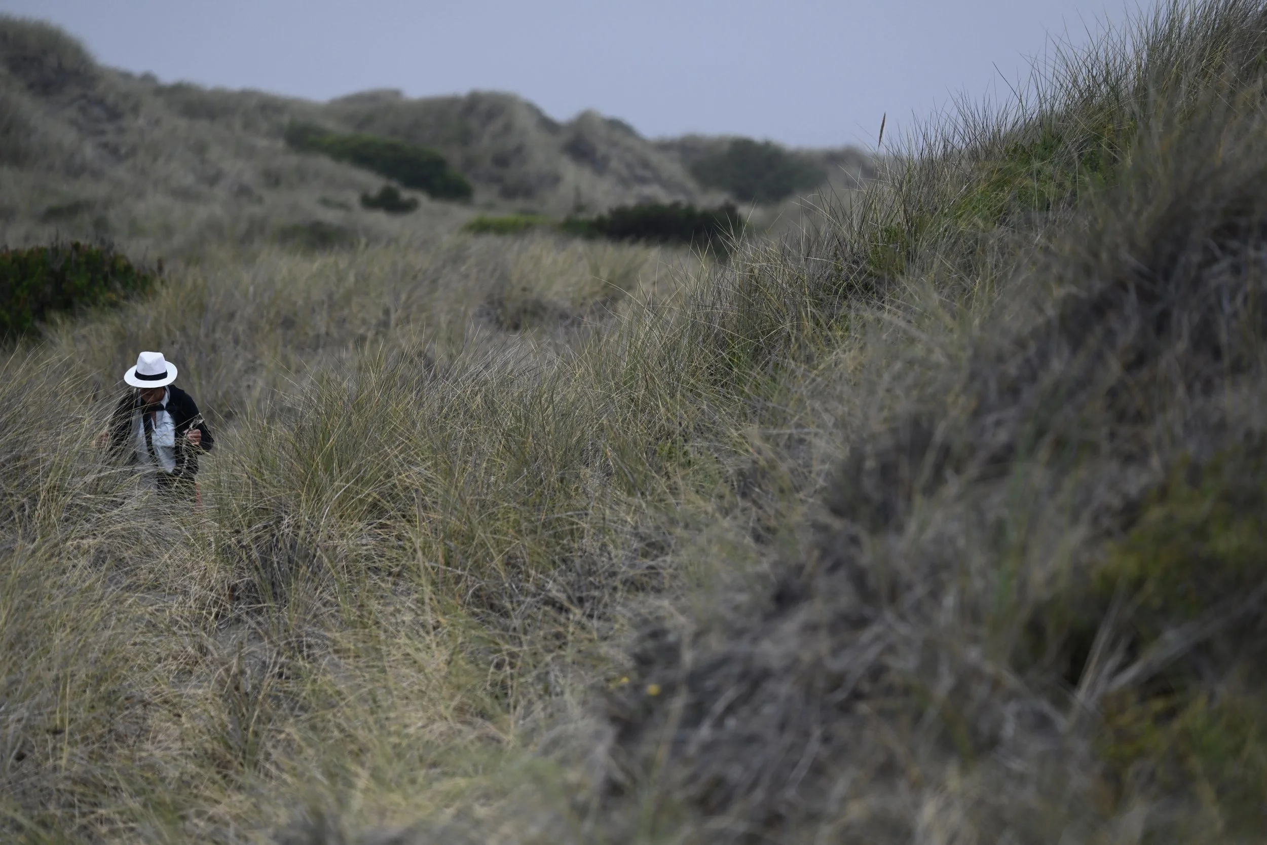 Welcome to CalifOregon! 