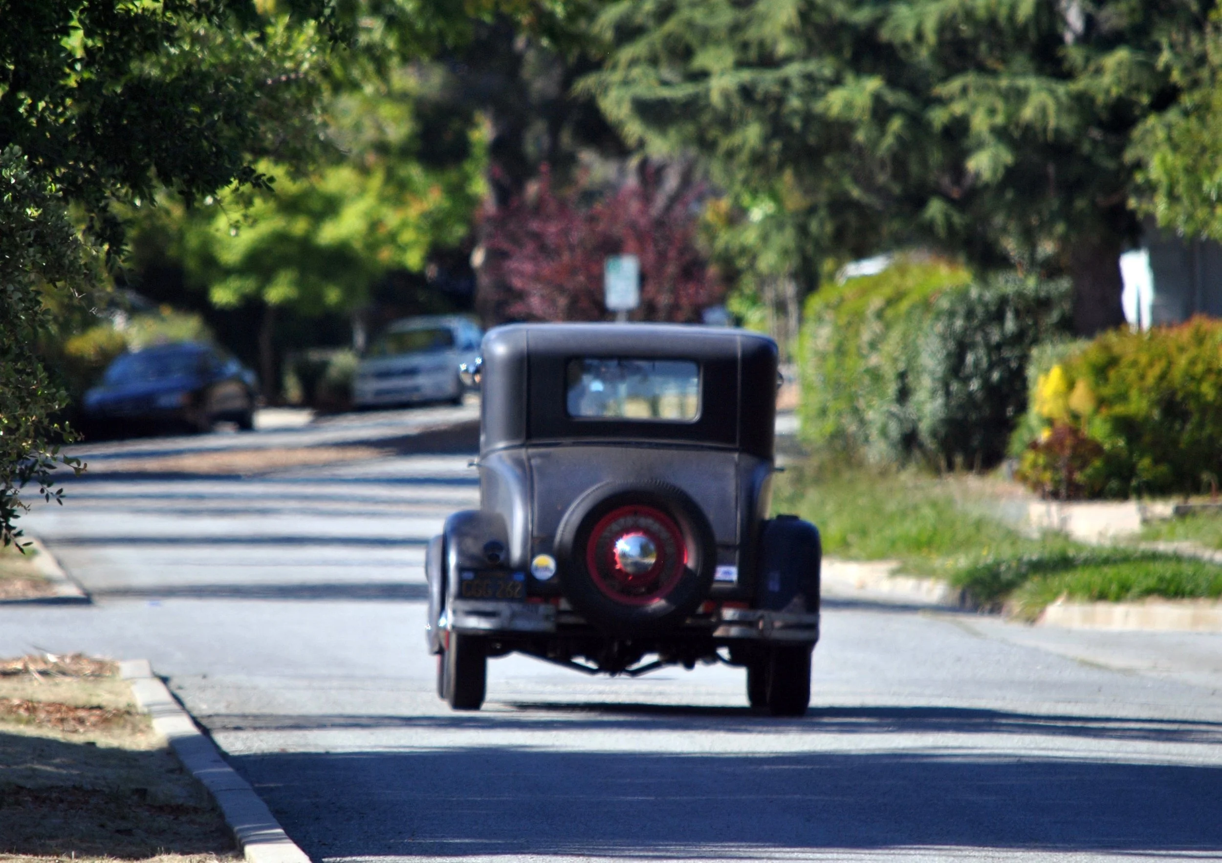 DSC_0594 2.jpg