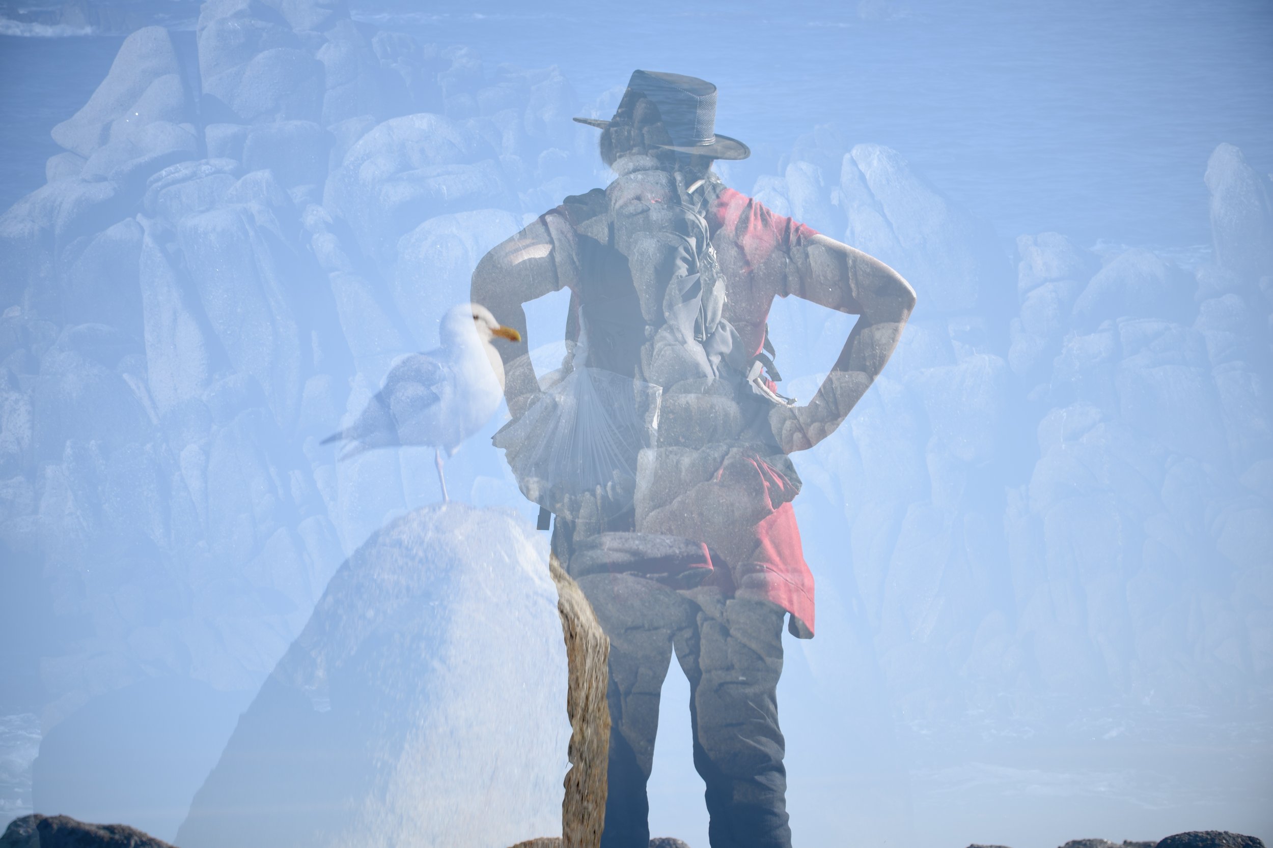 d4Law.jpeg