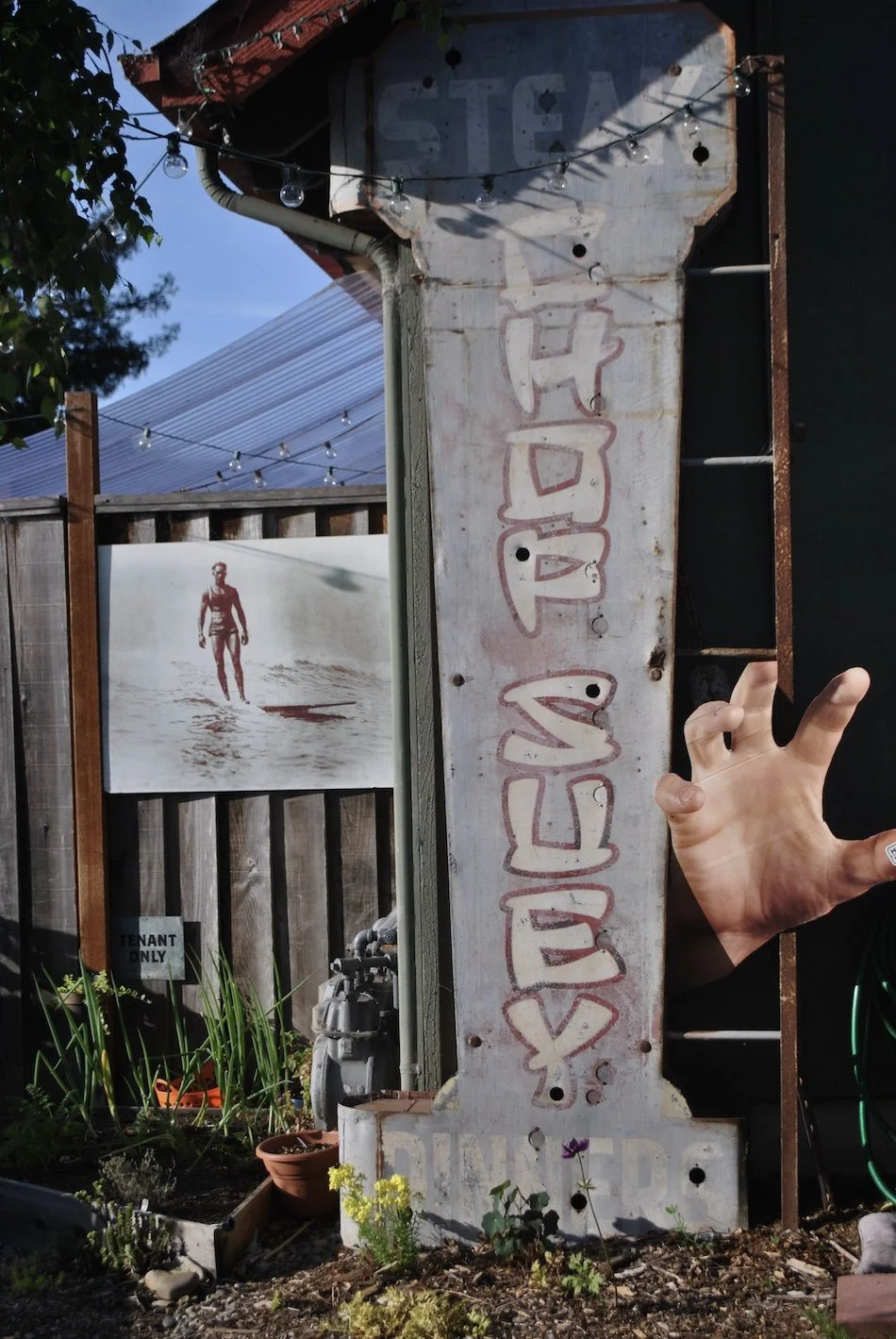 Barrington Court DSC_0924.JPG