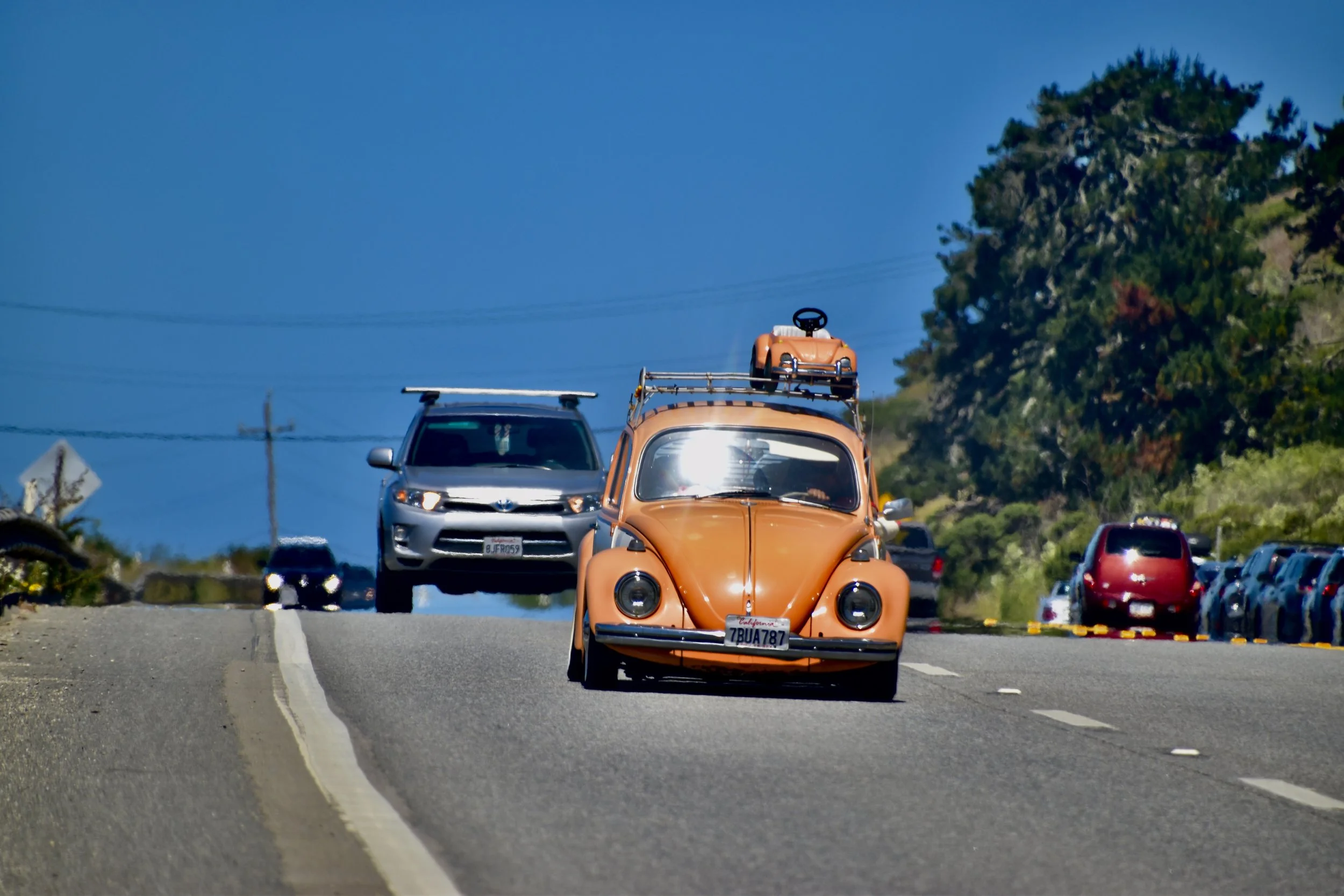 DSC_0106.JPG