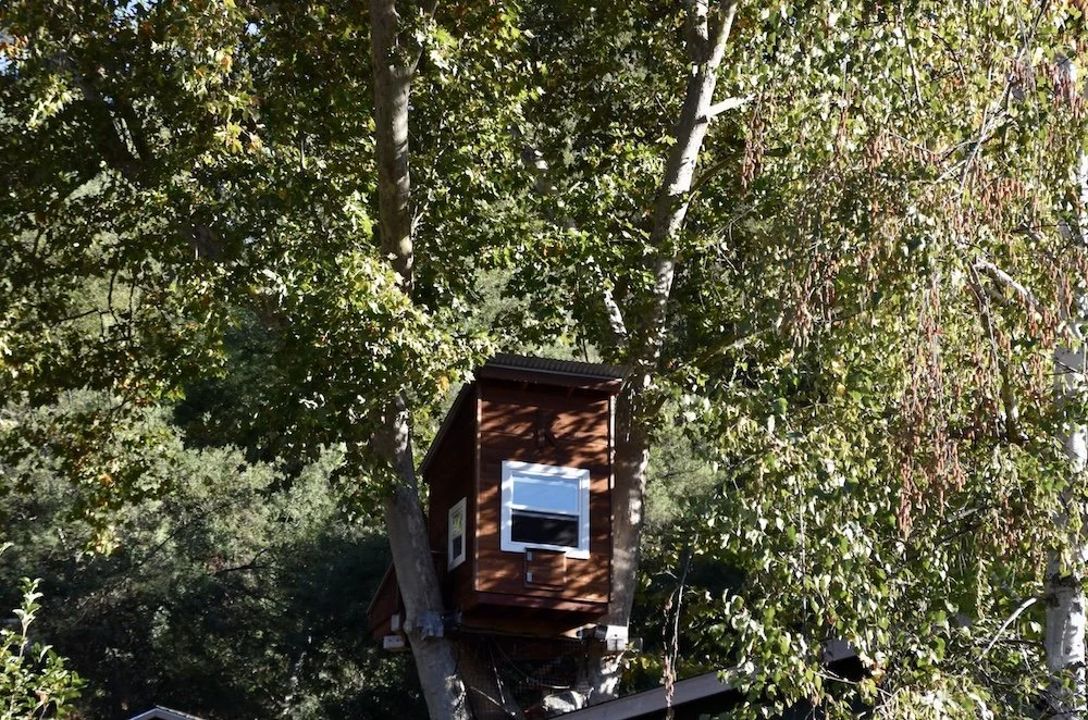 #2856 Igo Way DSC_0316 2.JPG