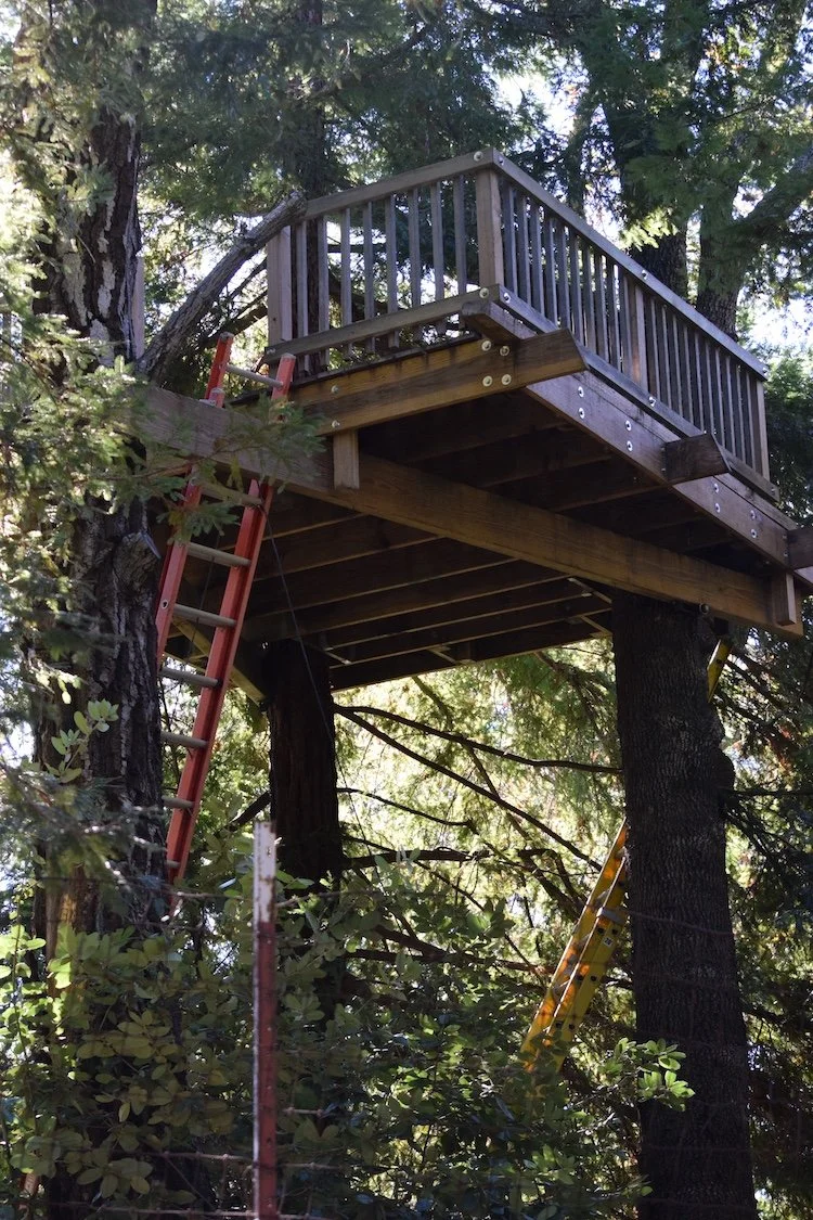 #2205 Terrrace Grove Road DSC_1974.JPG