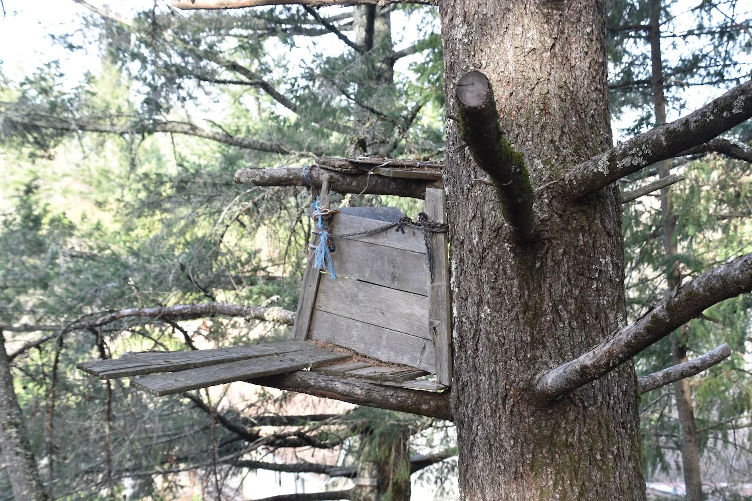 #2368 Quail Ridge Road DSC_3138.JPG