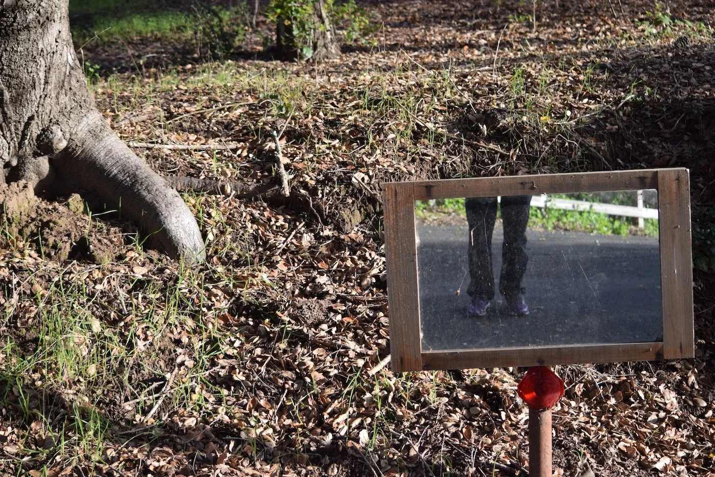 #1307 Via Venito DSC_1533.JPG