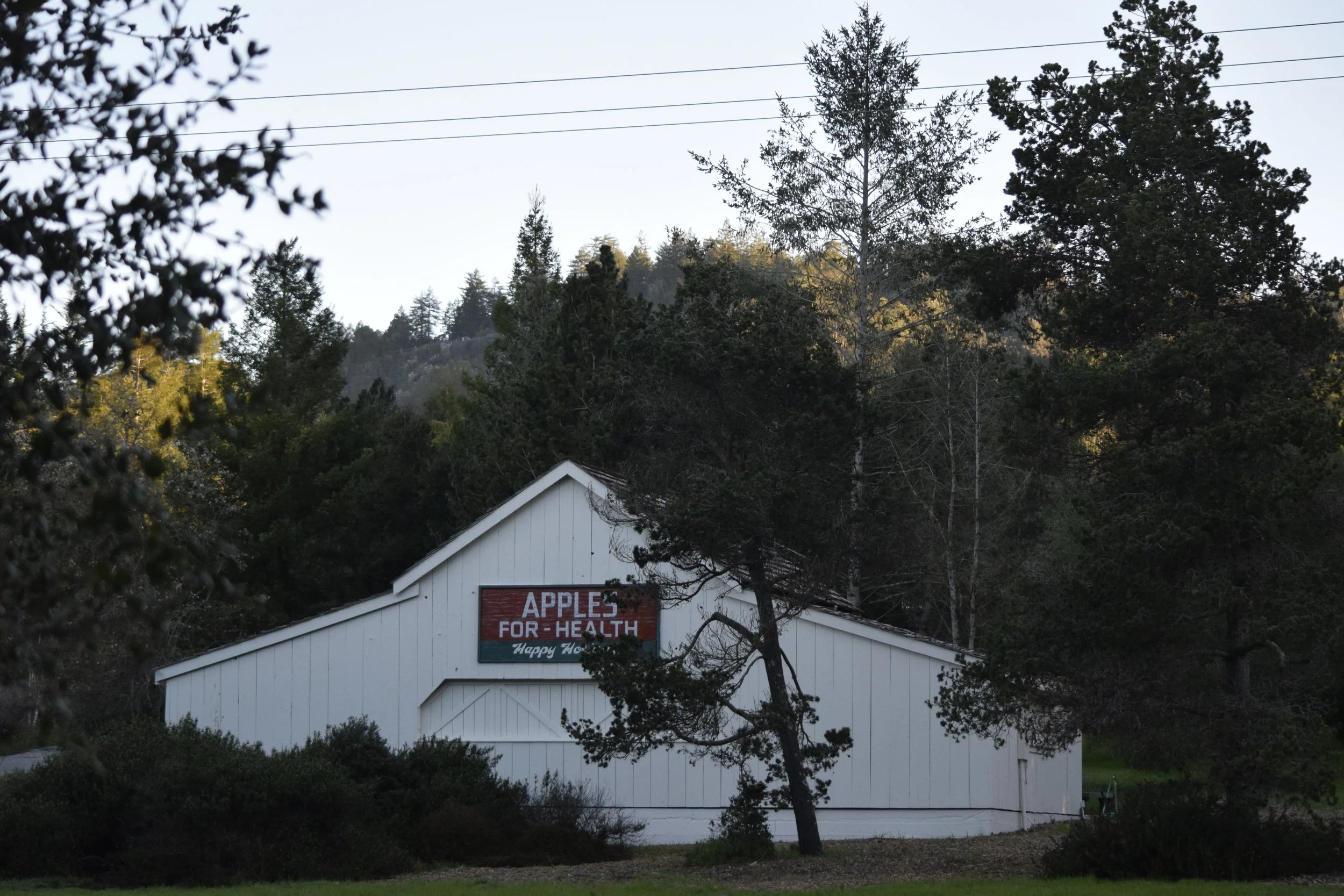 #1468 Meadow Road _DSC0023.JPG