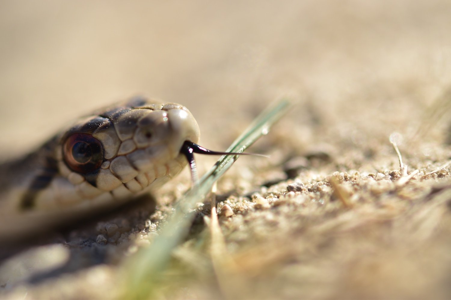 28. Twin Oaks Trail DSC_0474 2.JPG